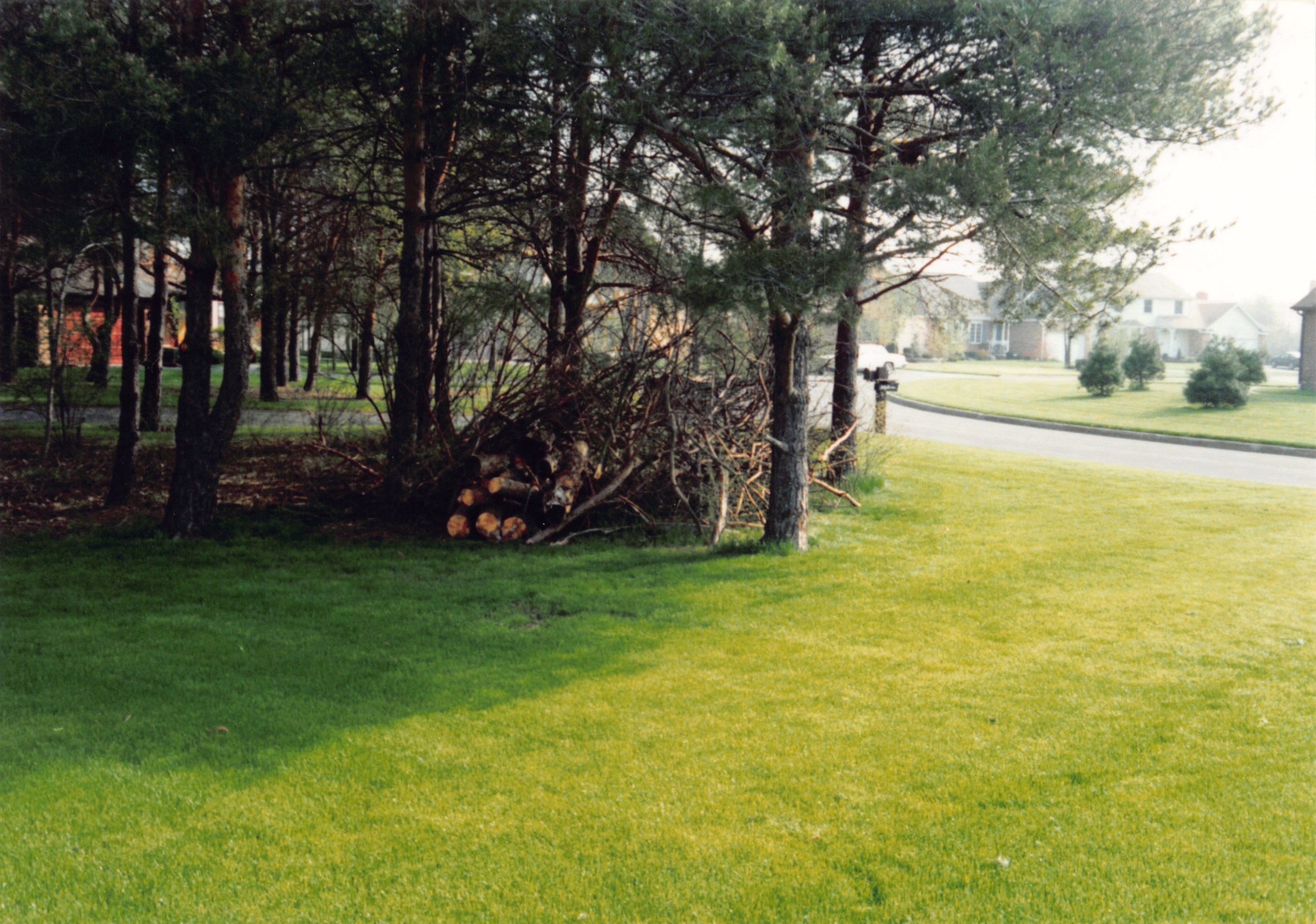 1992_341.jpg