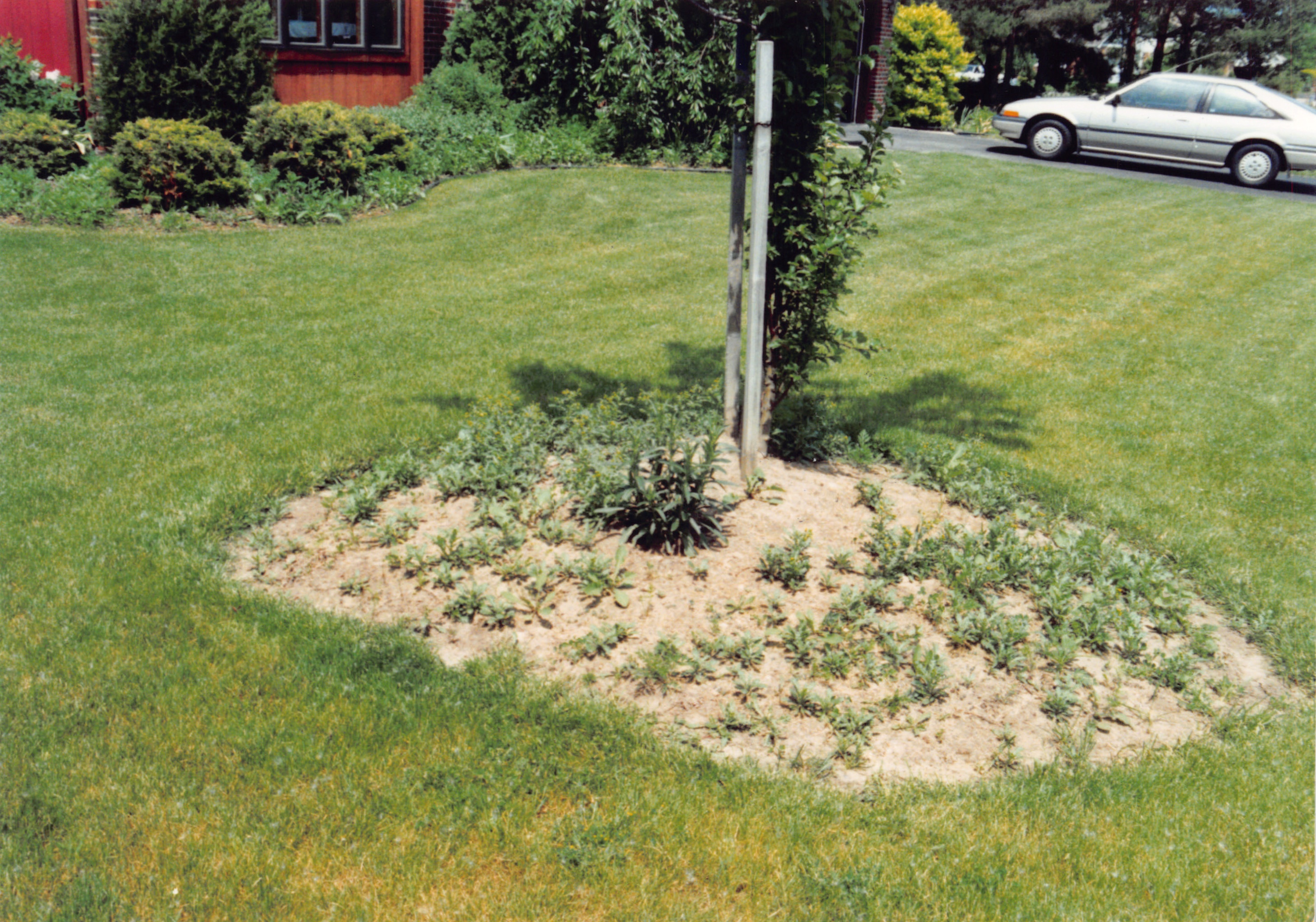 1992_343.jpg