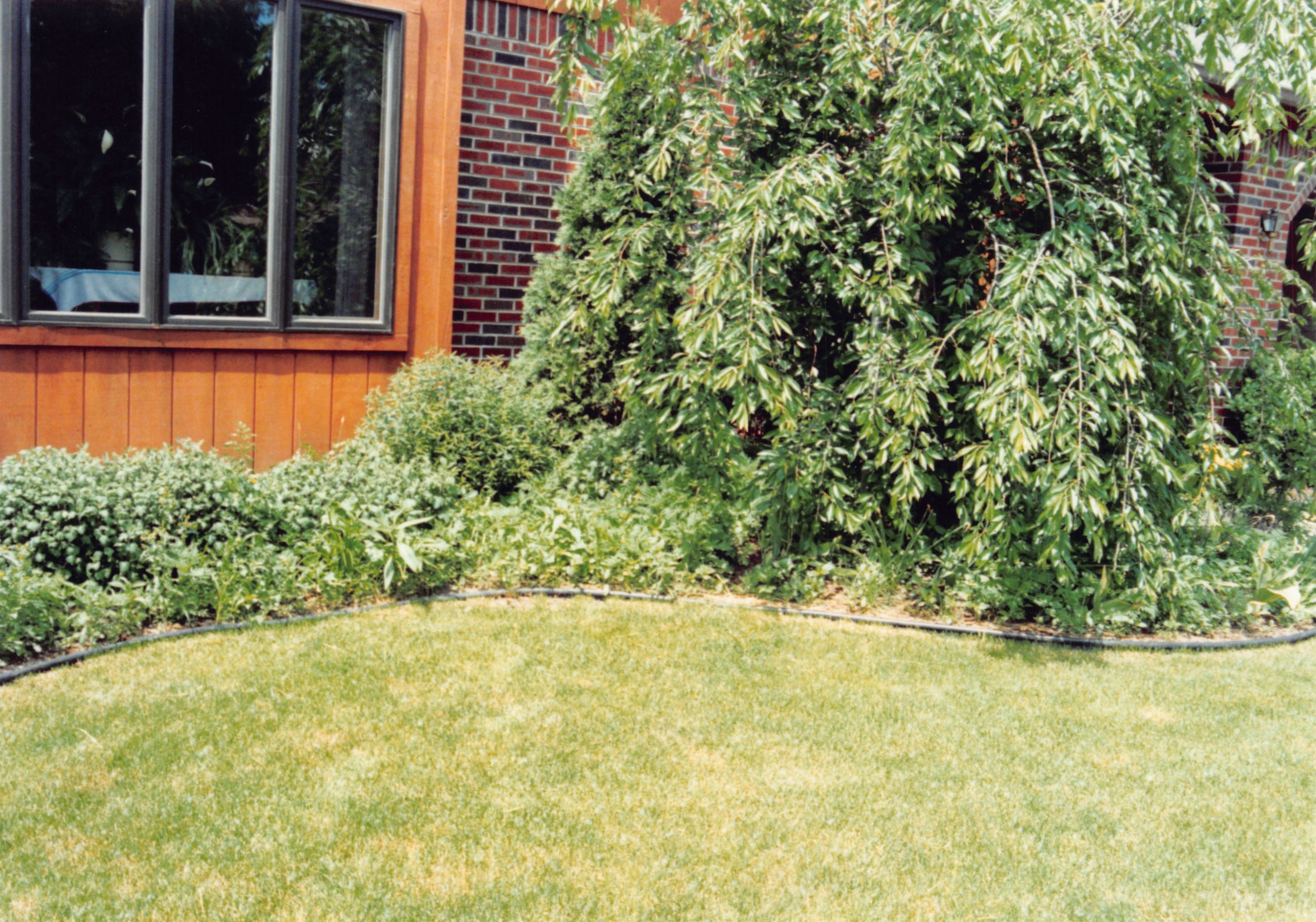 1992_345.jpg
