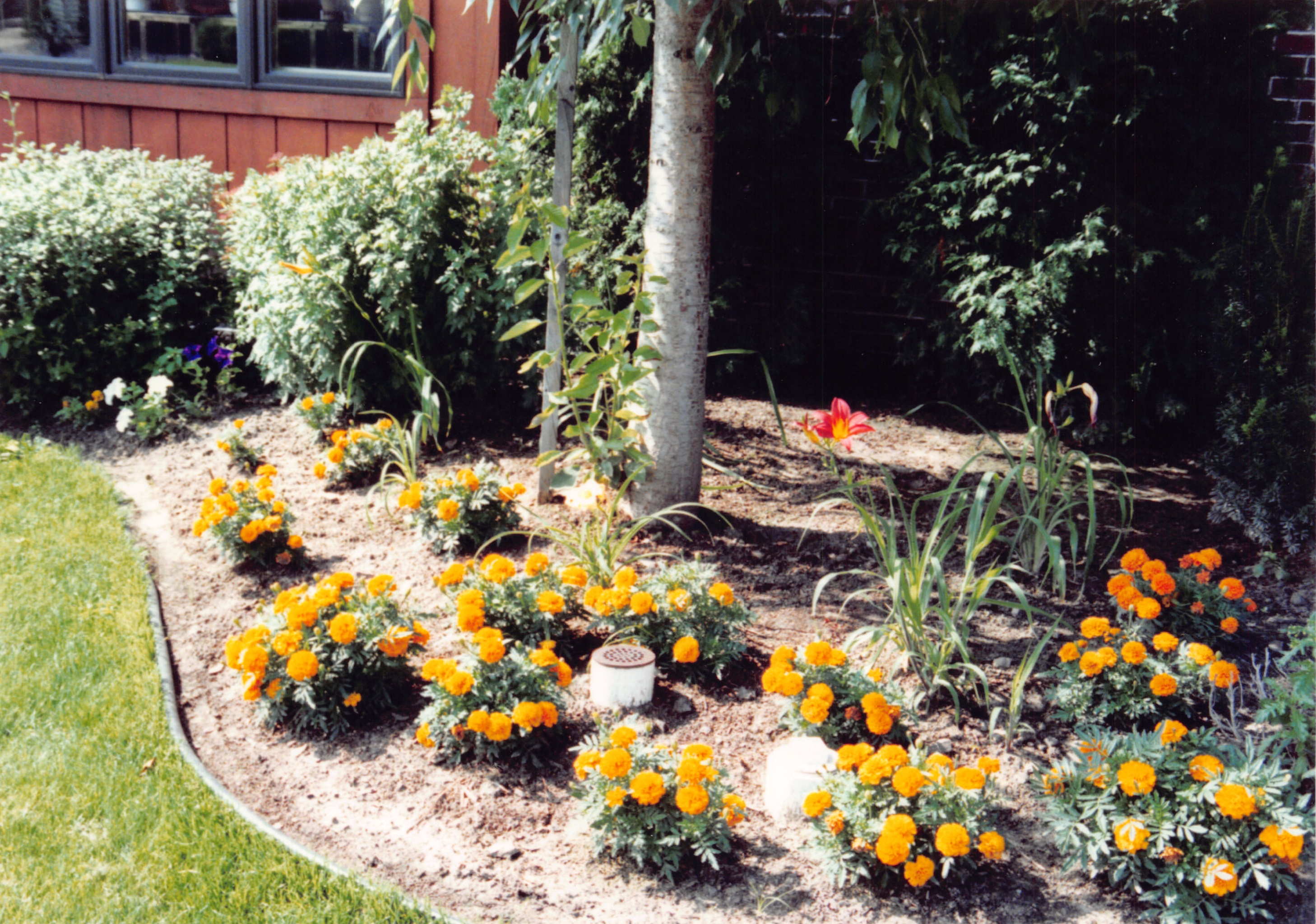 1992_347.jpg