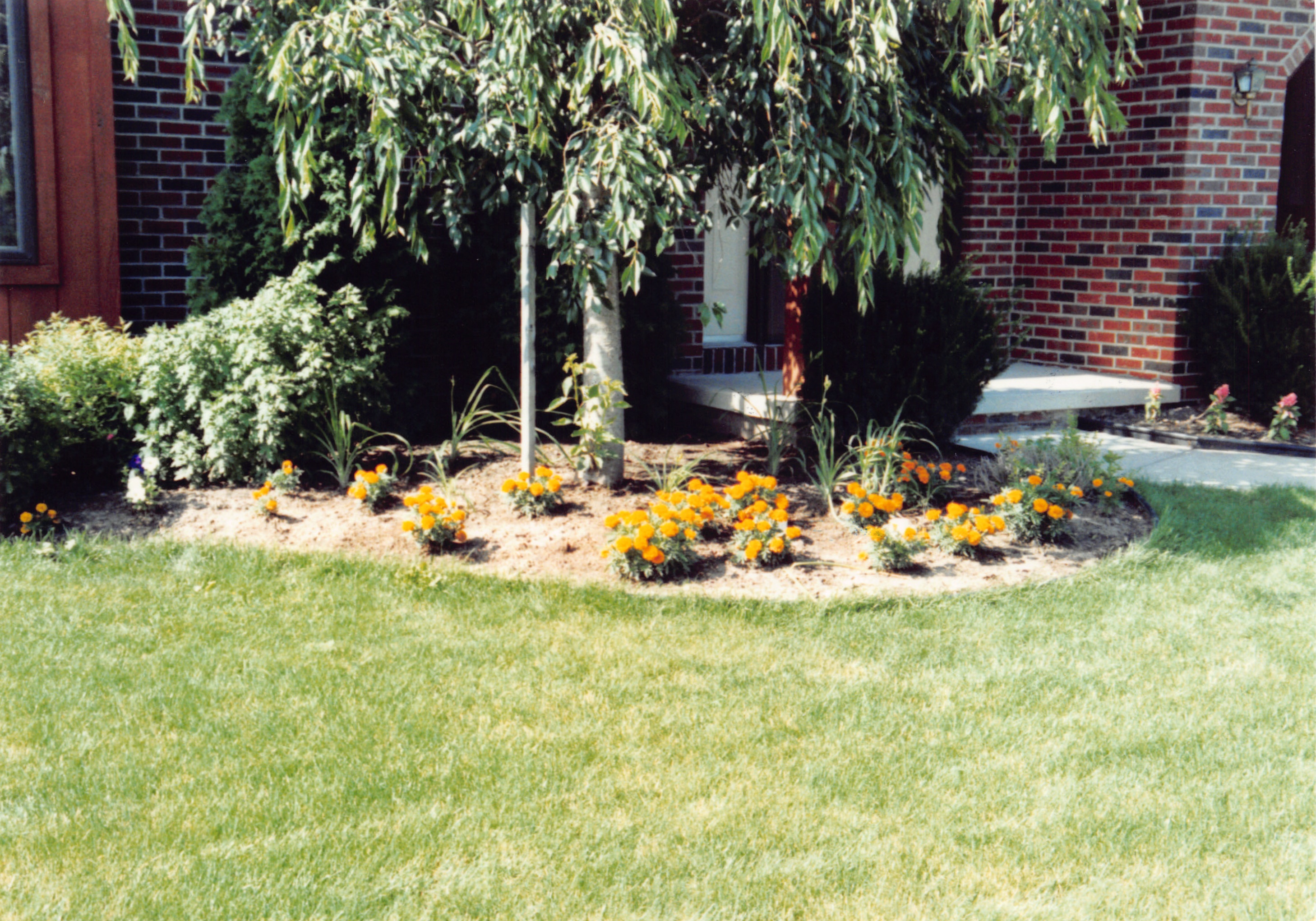 1992_349.jpg