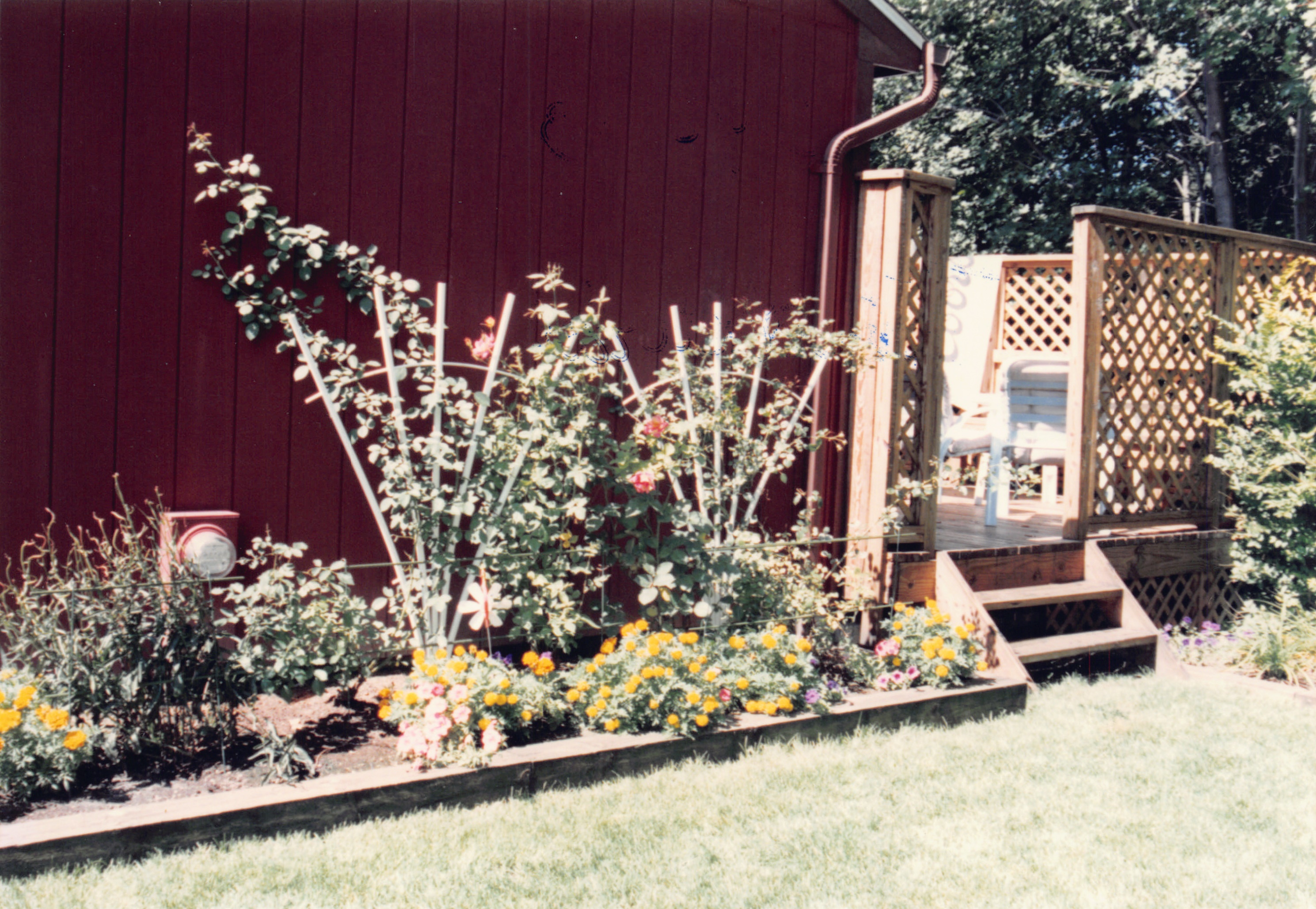 1993b_525.jpg