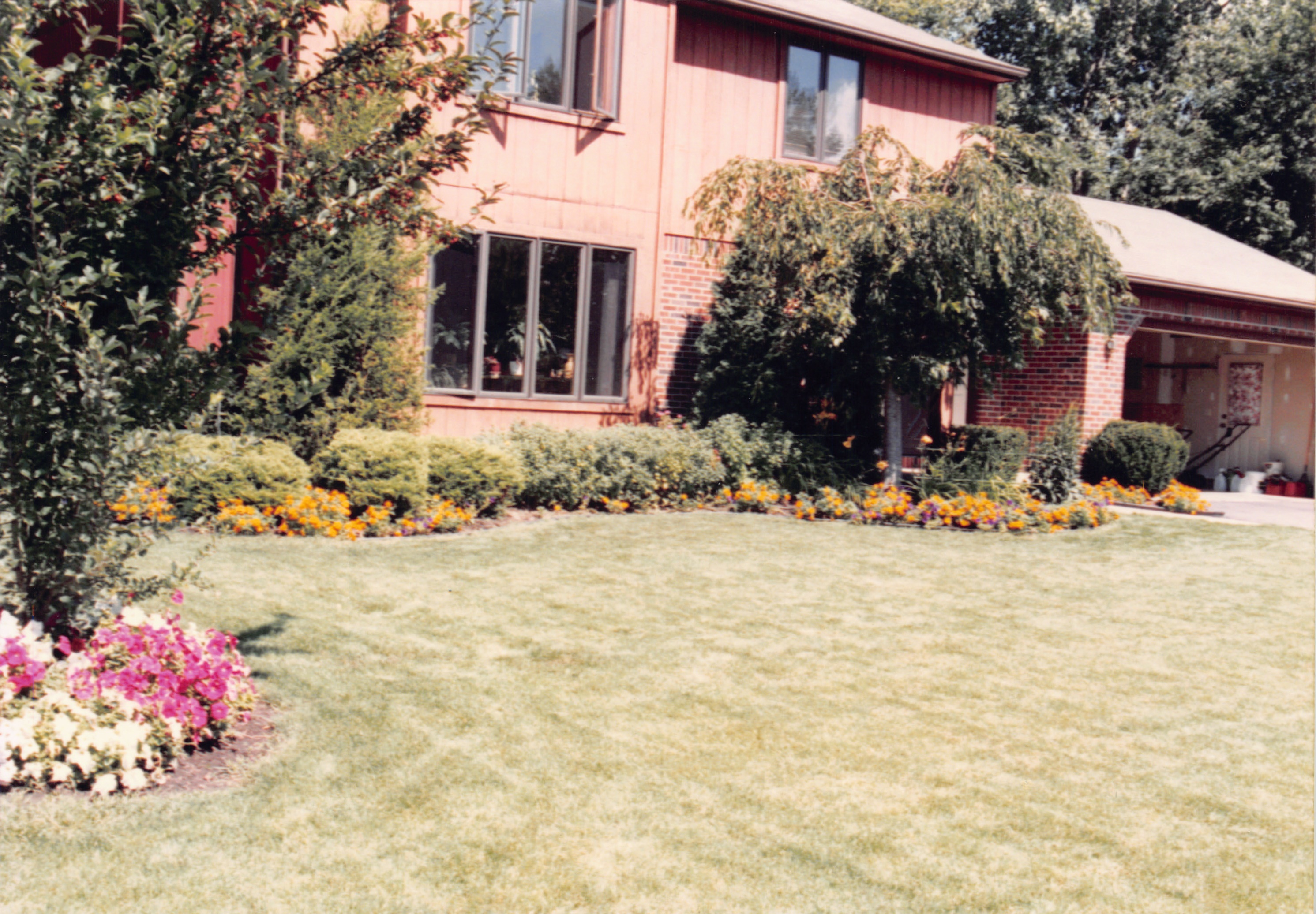 1993b_527.jpg