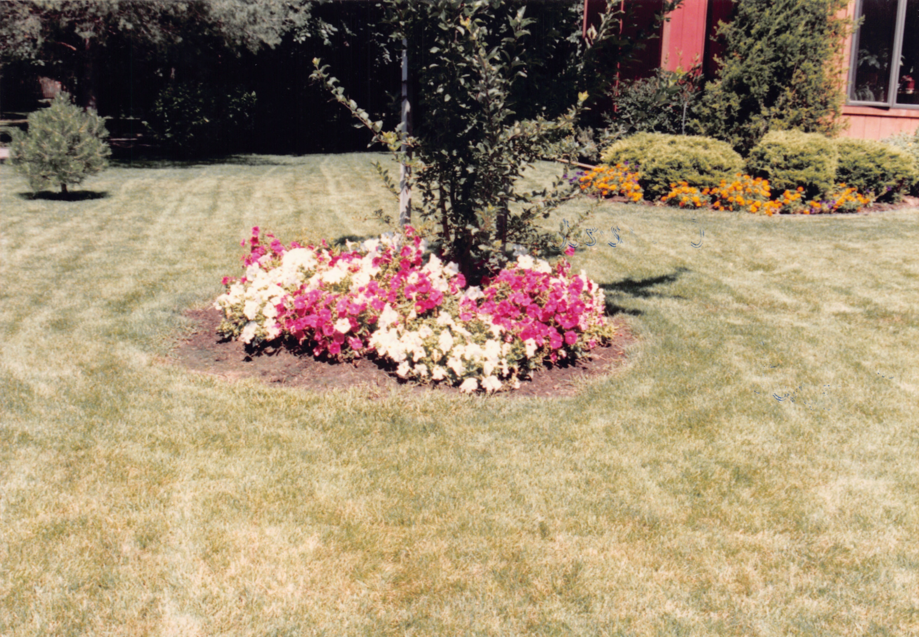 1993b_529.jpg