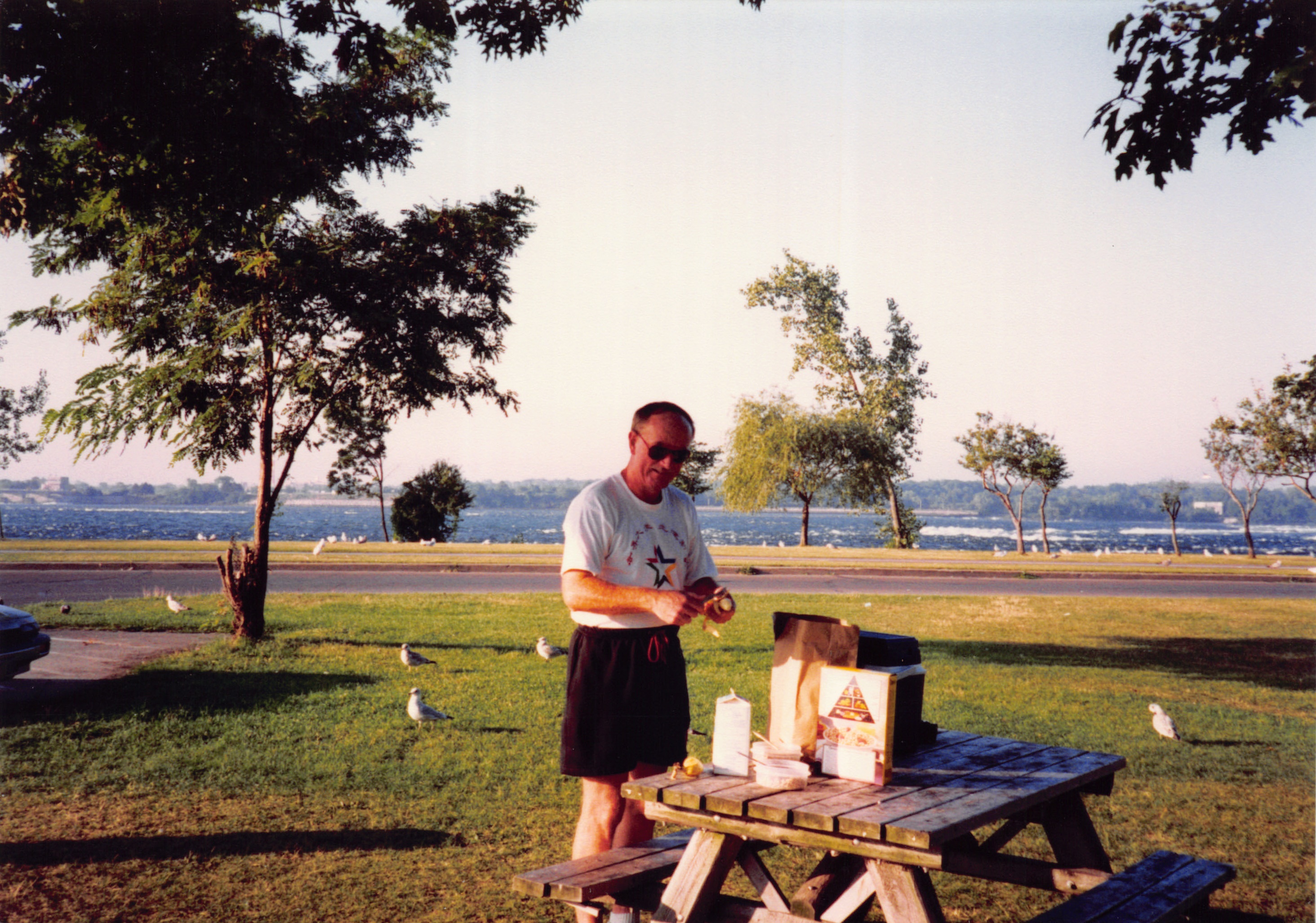 1993b_540.jpg