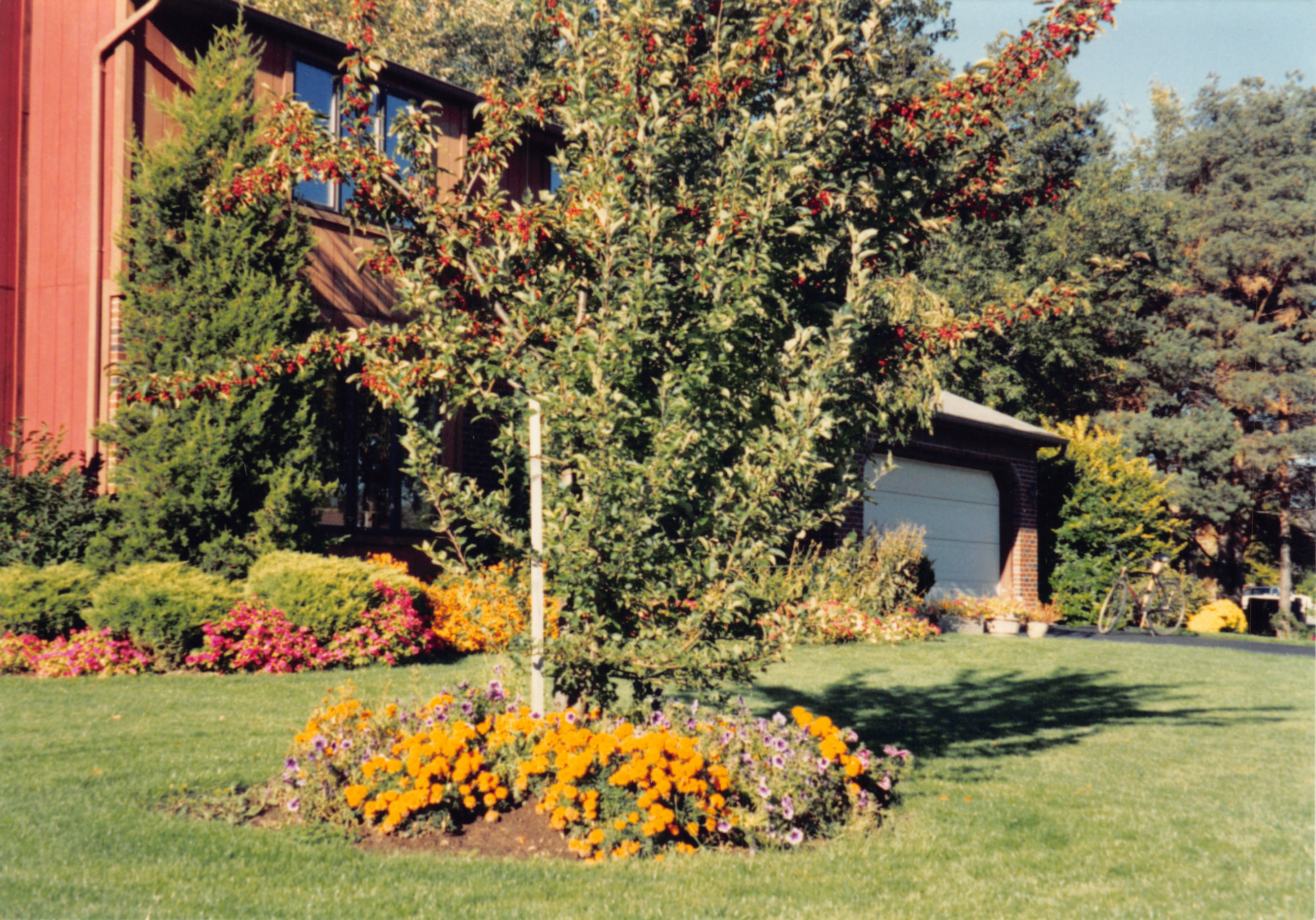 1993b_553.jpg
