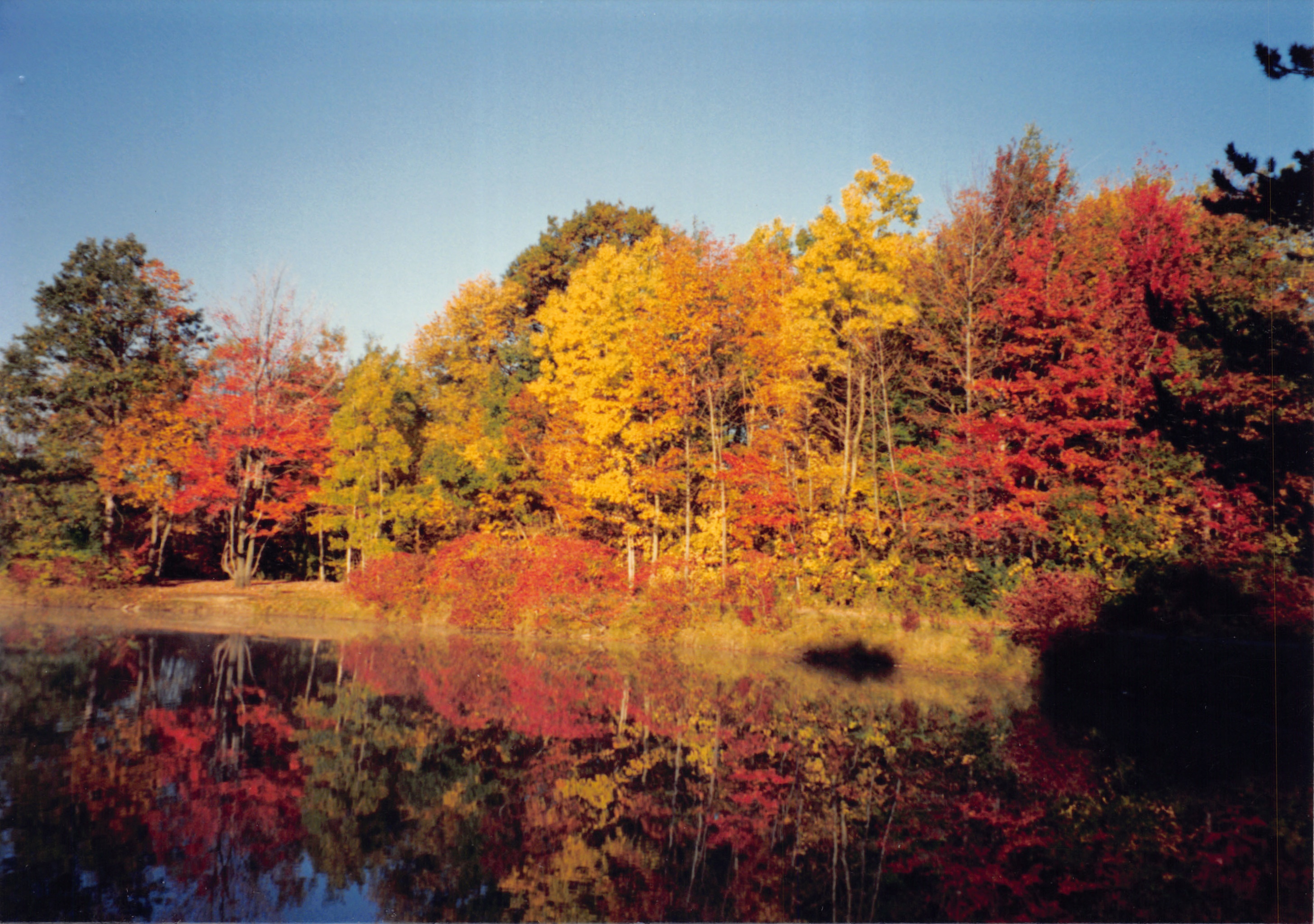 1993b_557.jpg