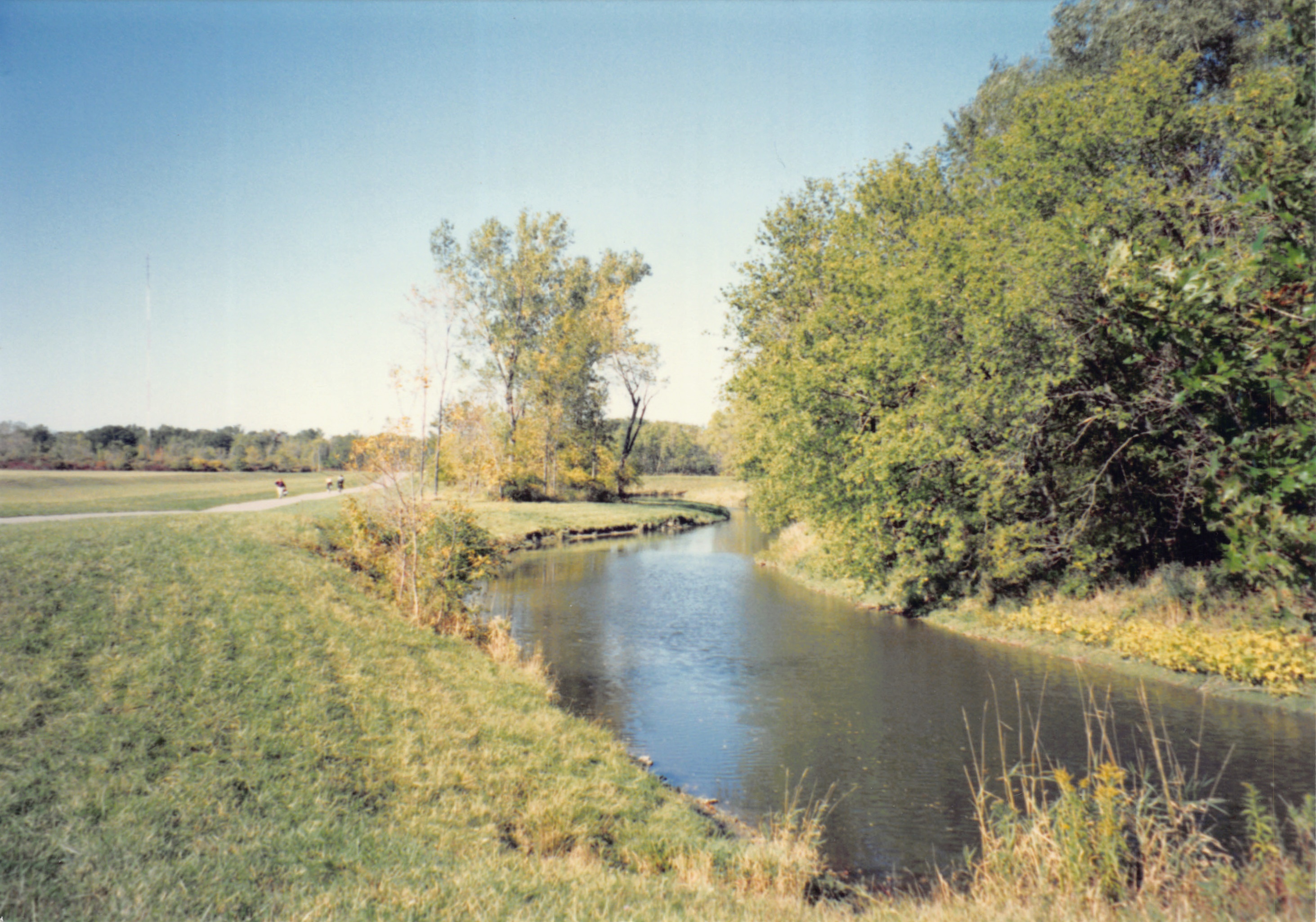 1993b_559.jpg