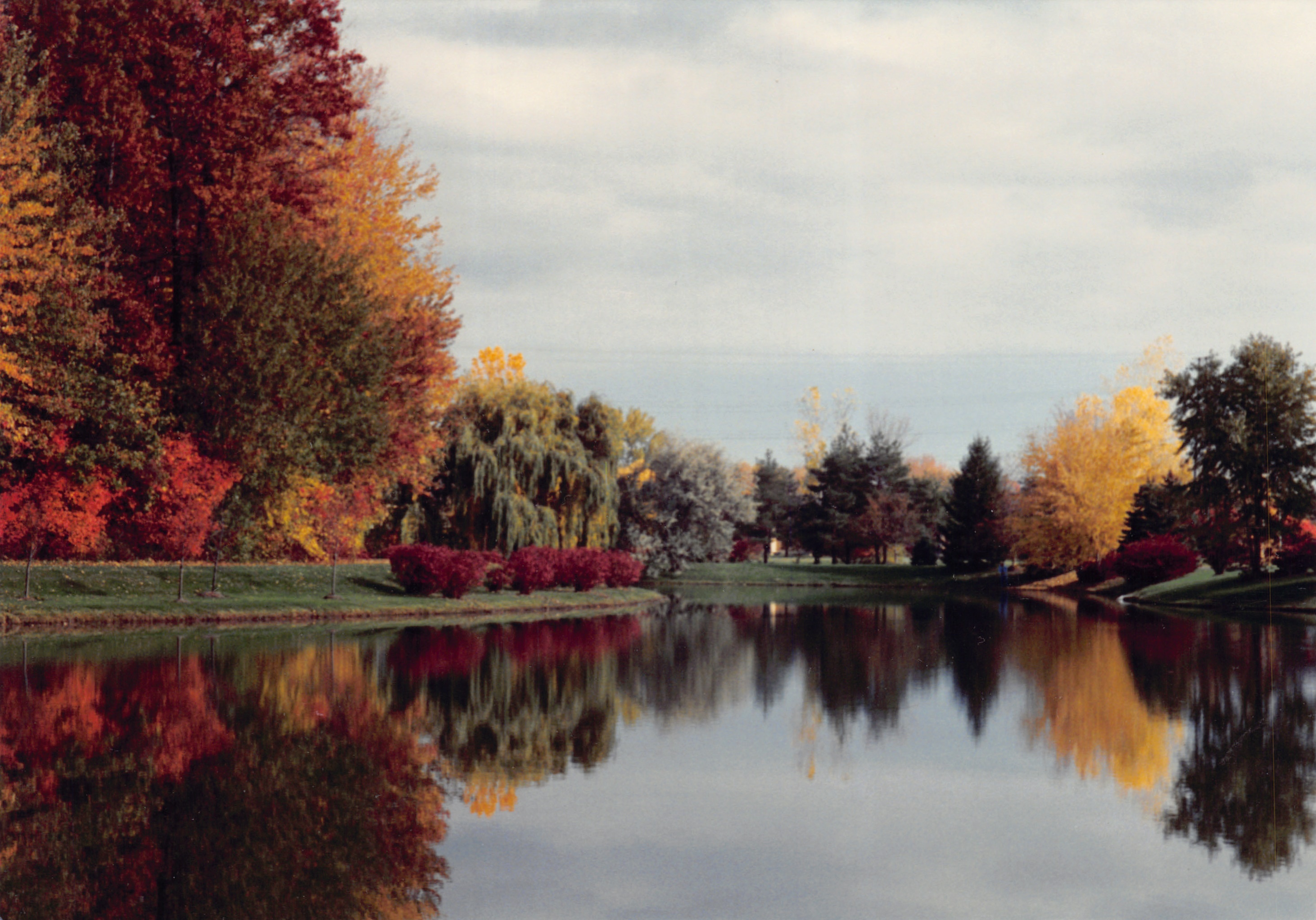 1993b_561.jpg