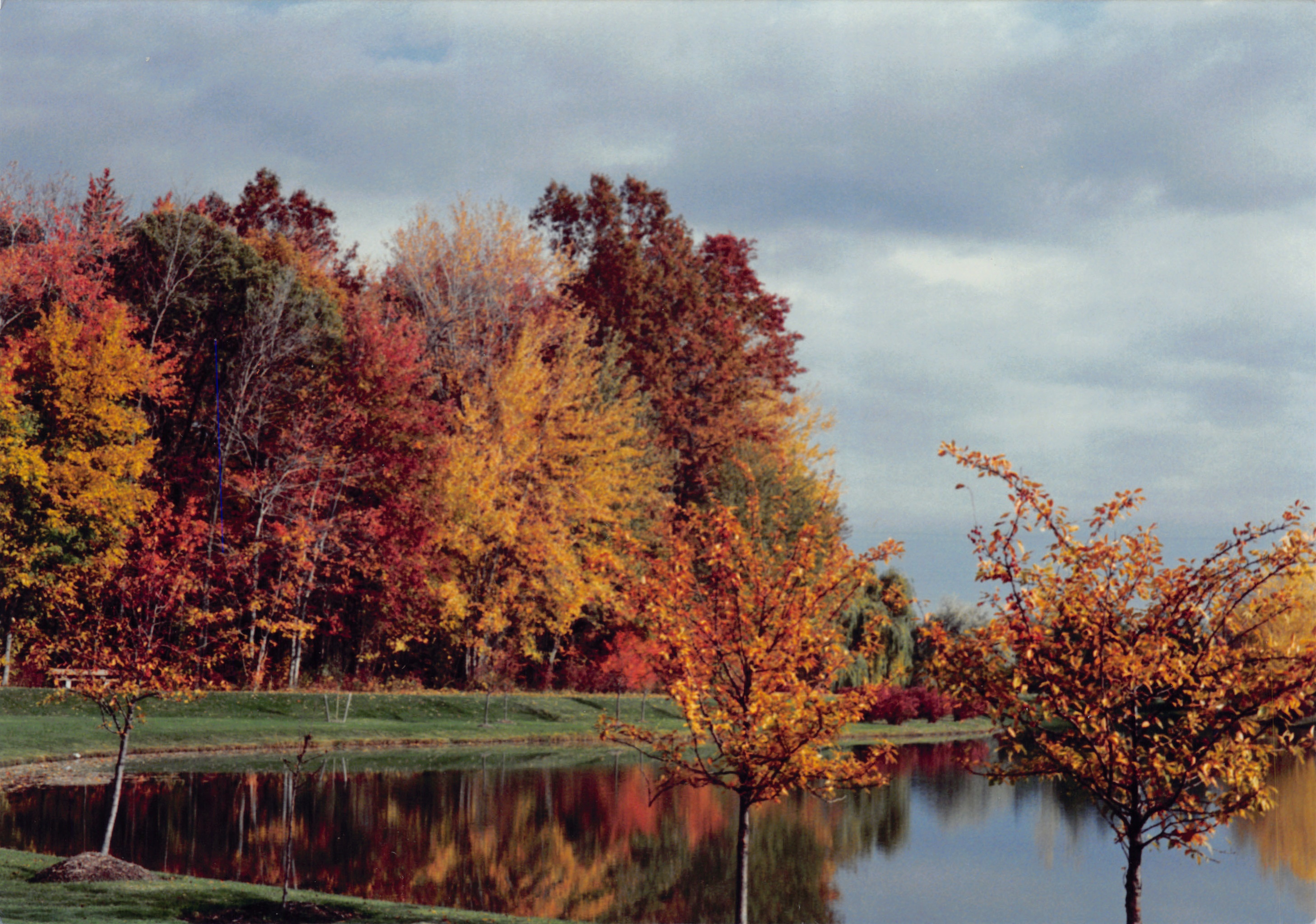 1993b_562.jpg