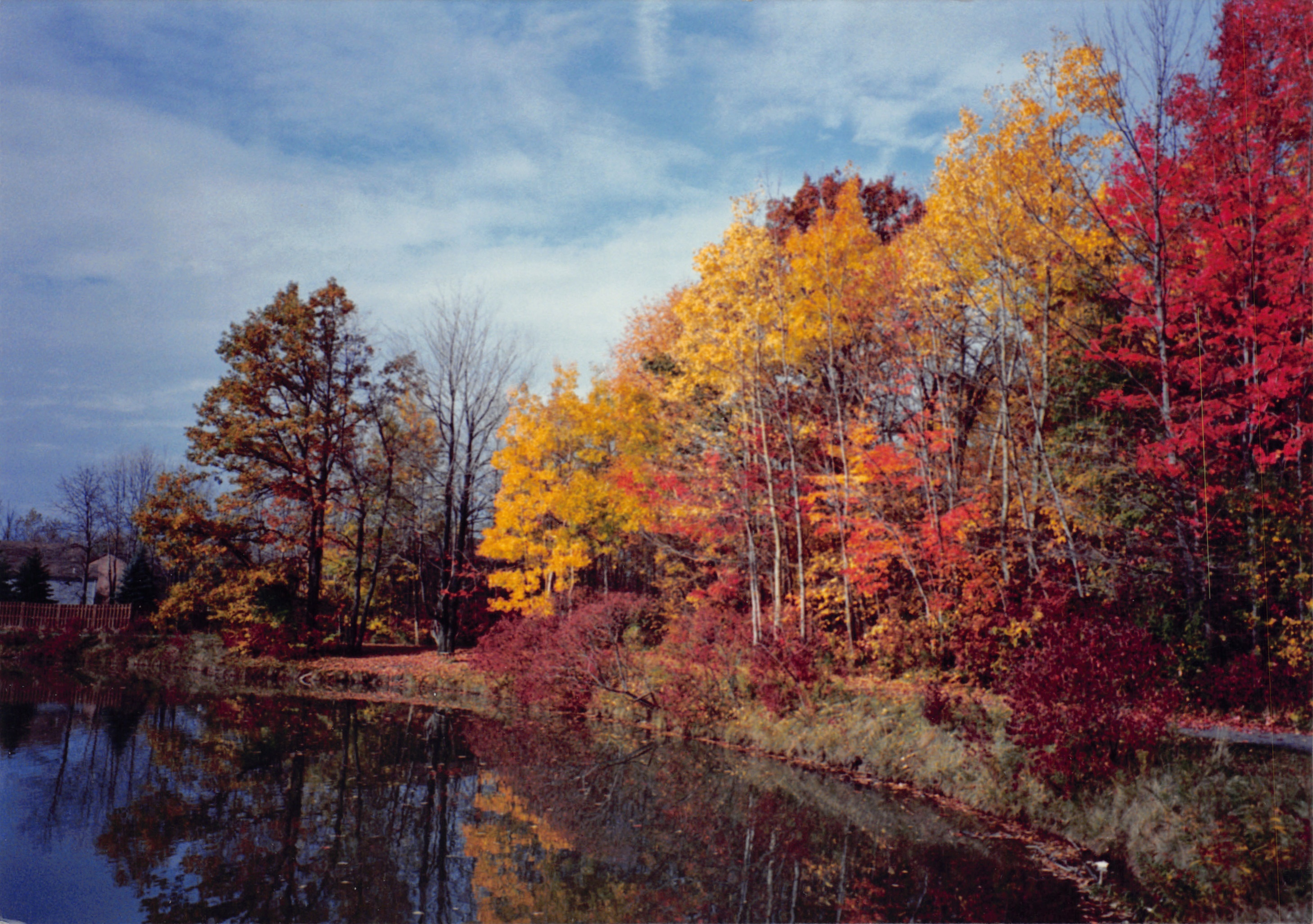 1993b_564.jpg