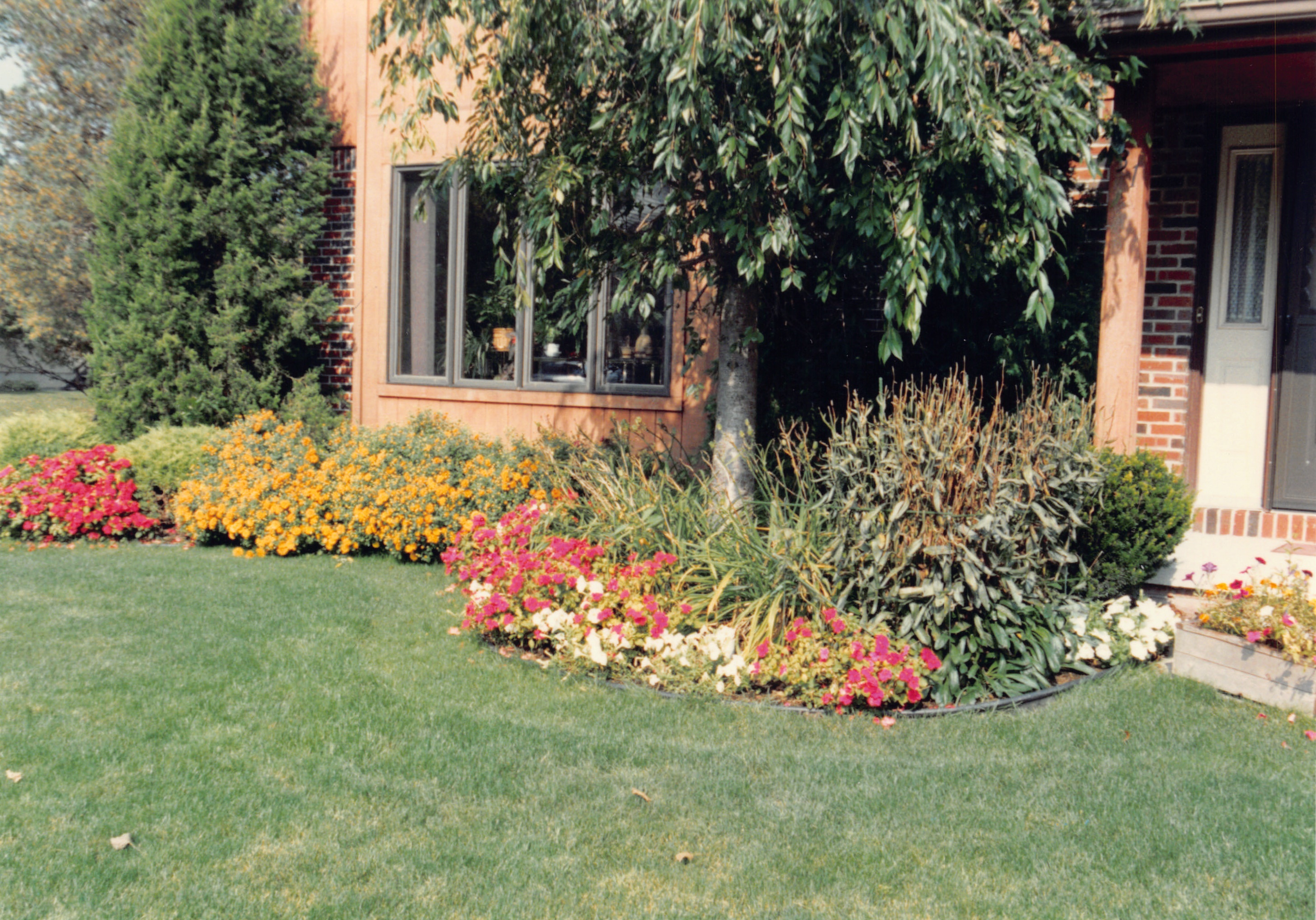 1993b_565.jpg