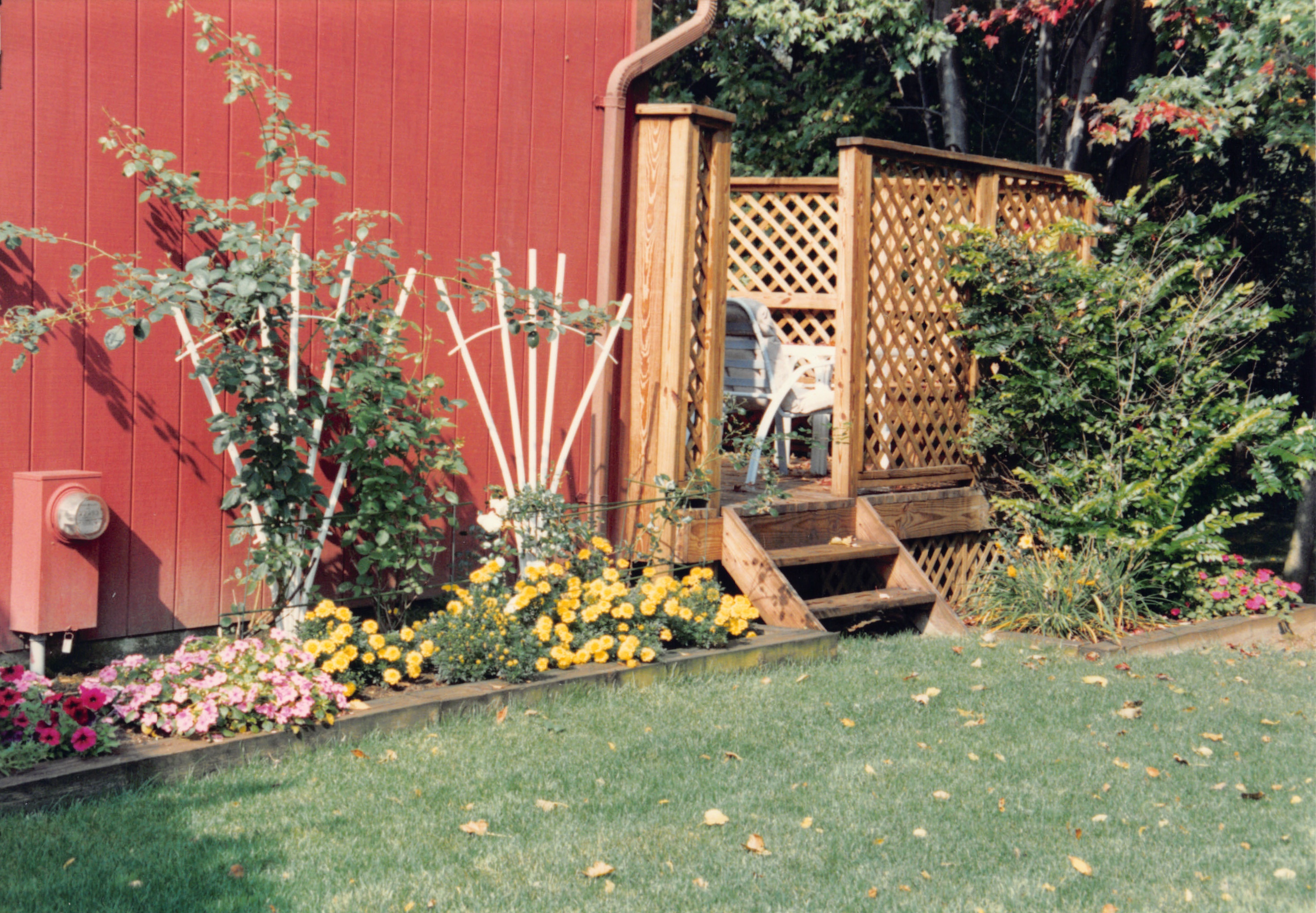1993b_567.jpg