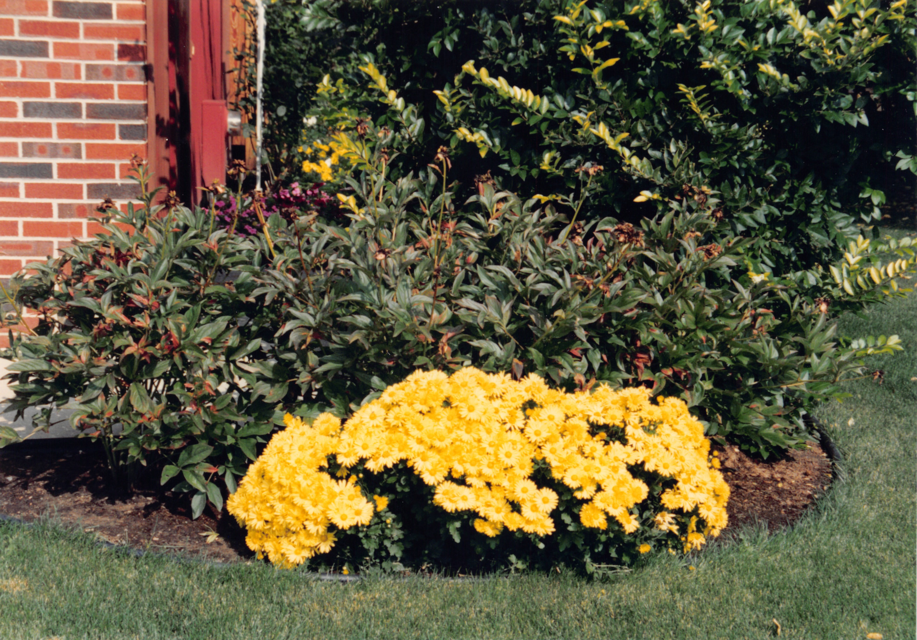 1993b_569.jpg
