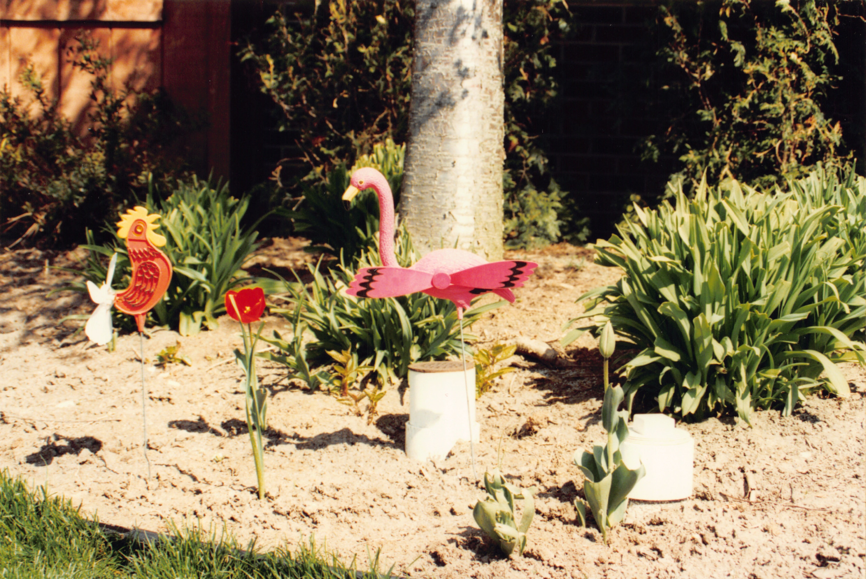 1993b_571.jpg