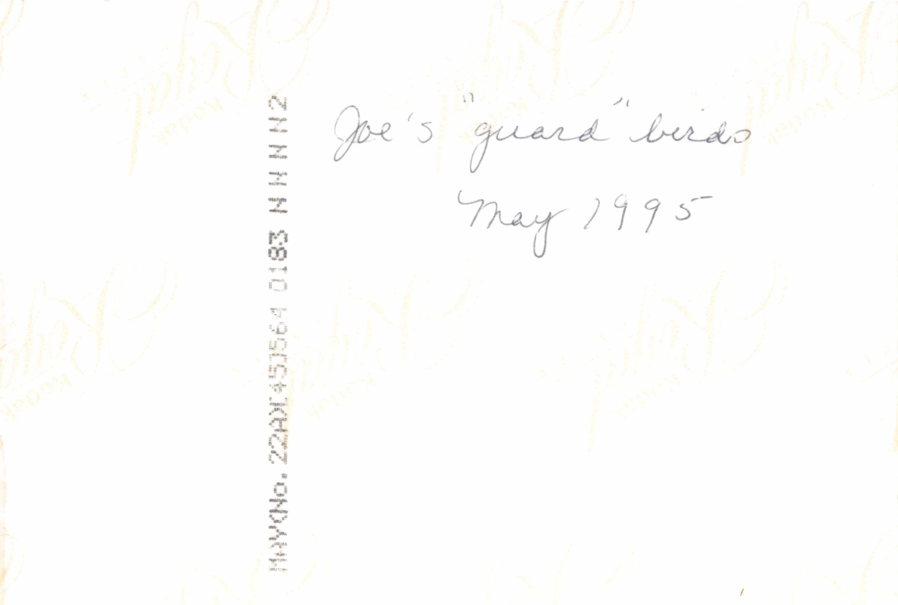 1993b_572.jpg