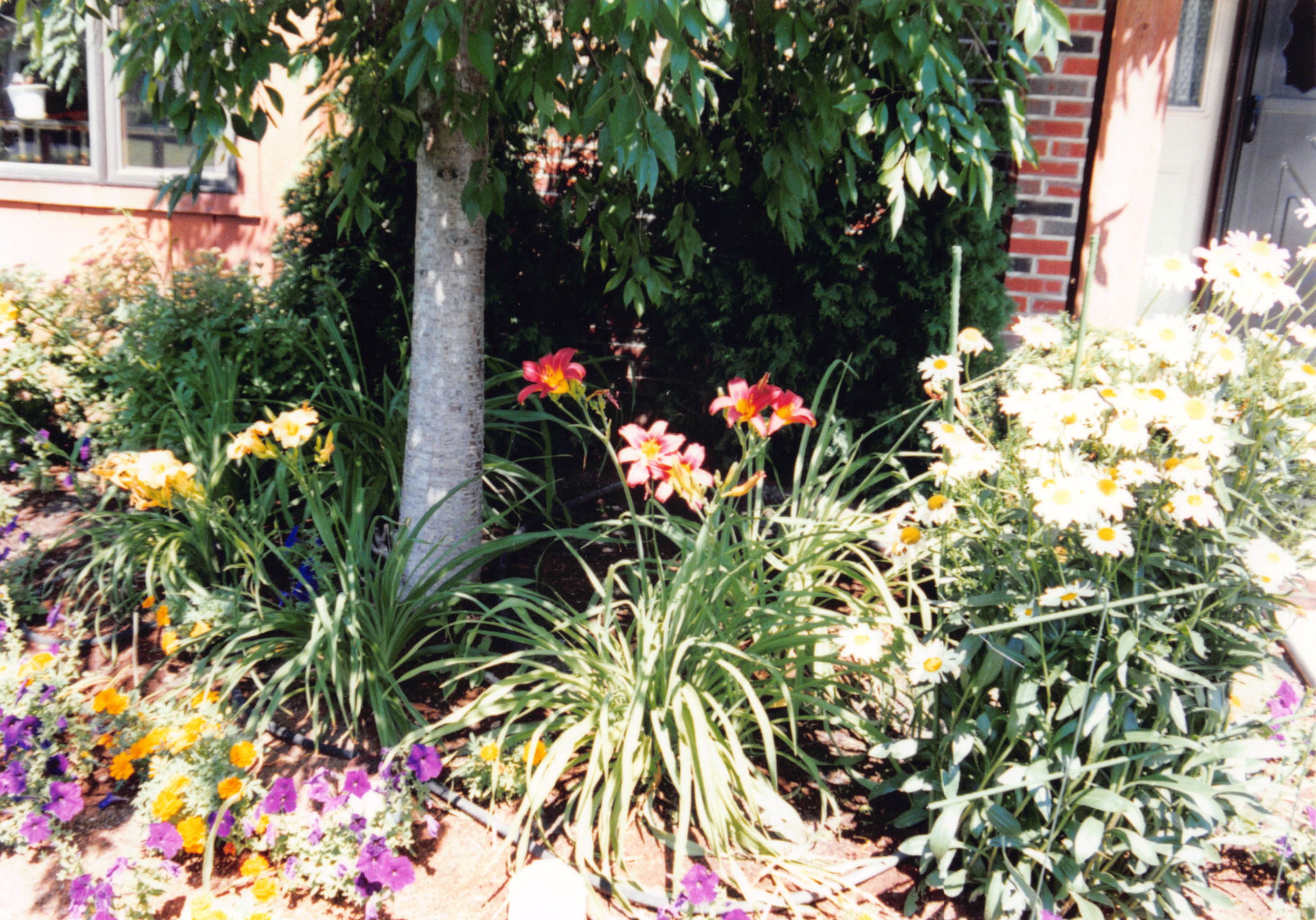 1993b_592.jpg