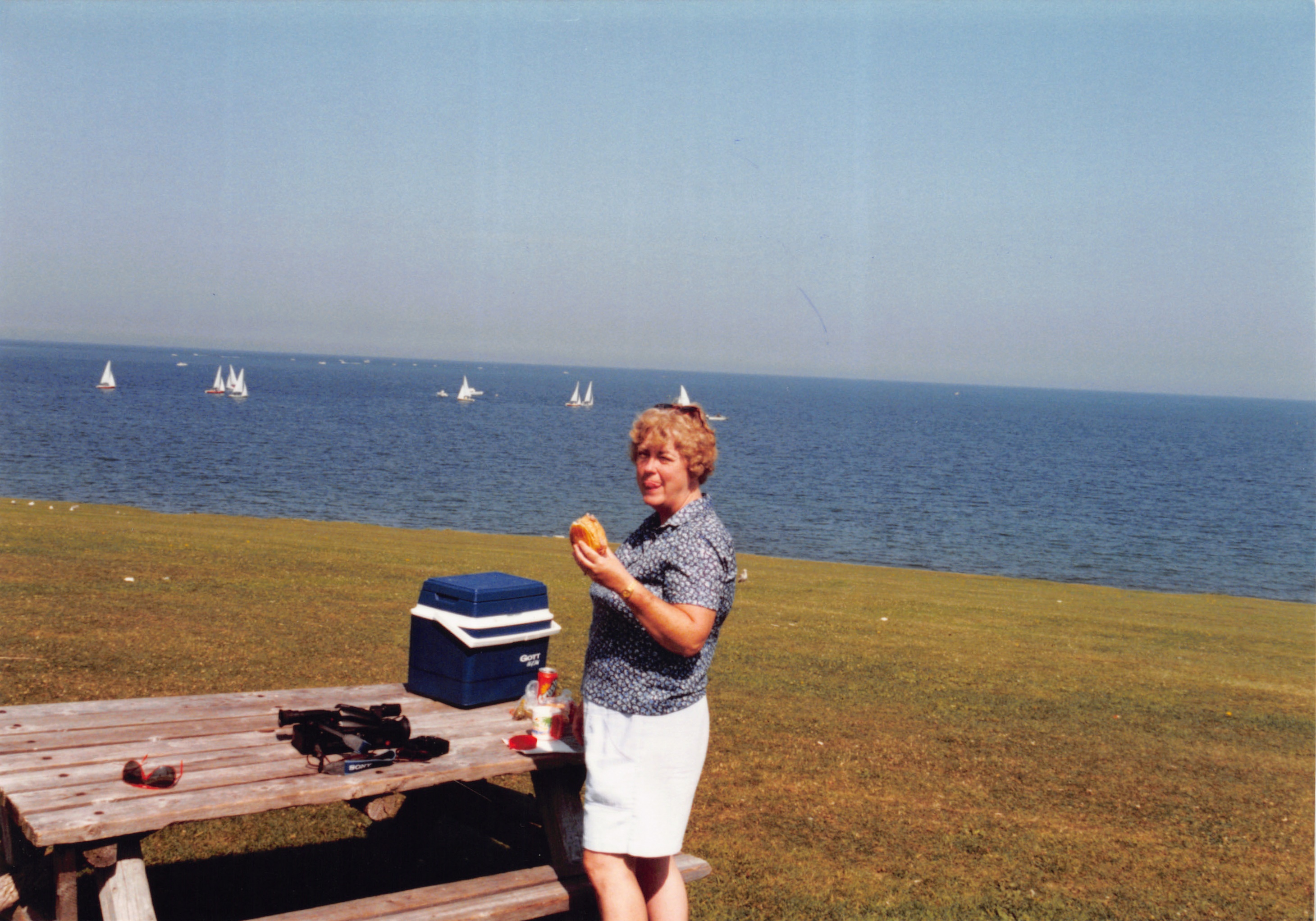 1993b_606.jpg