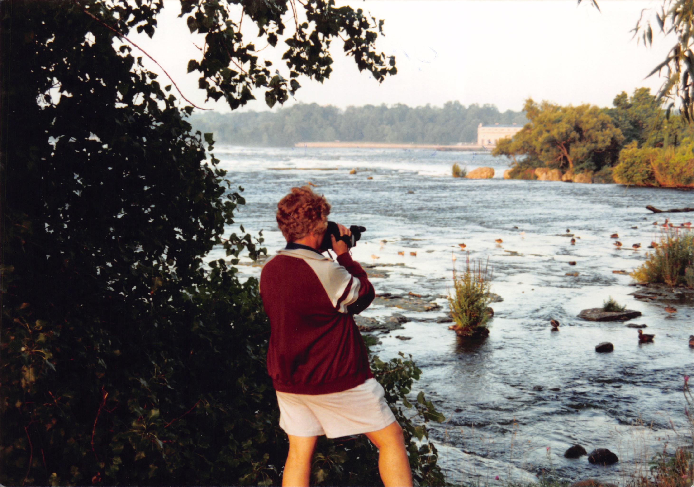 1993b_610.jpg