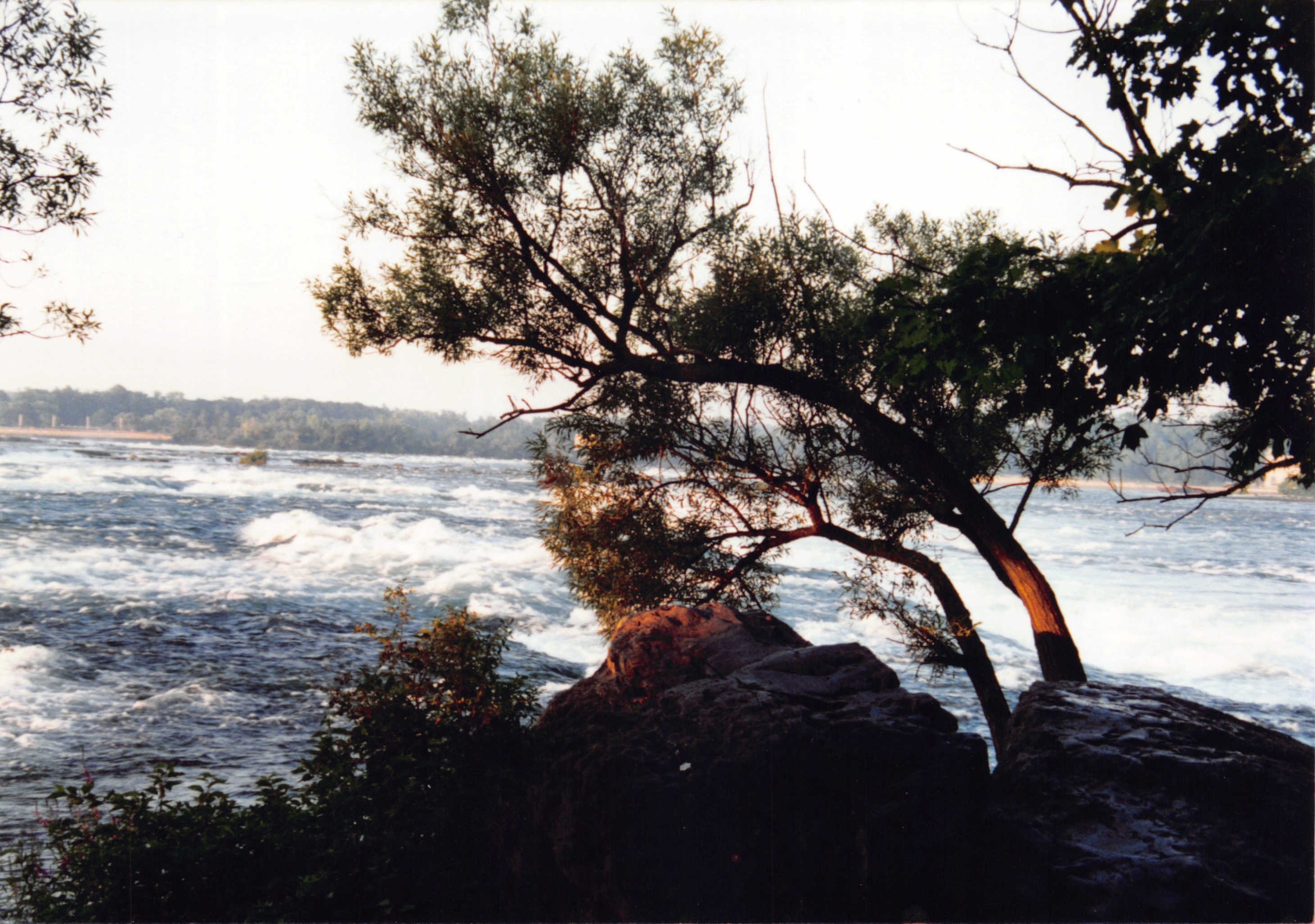 1993b_618.jpg