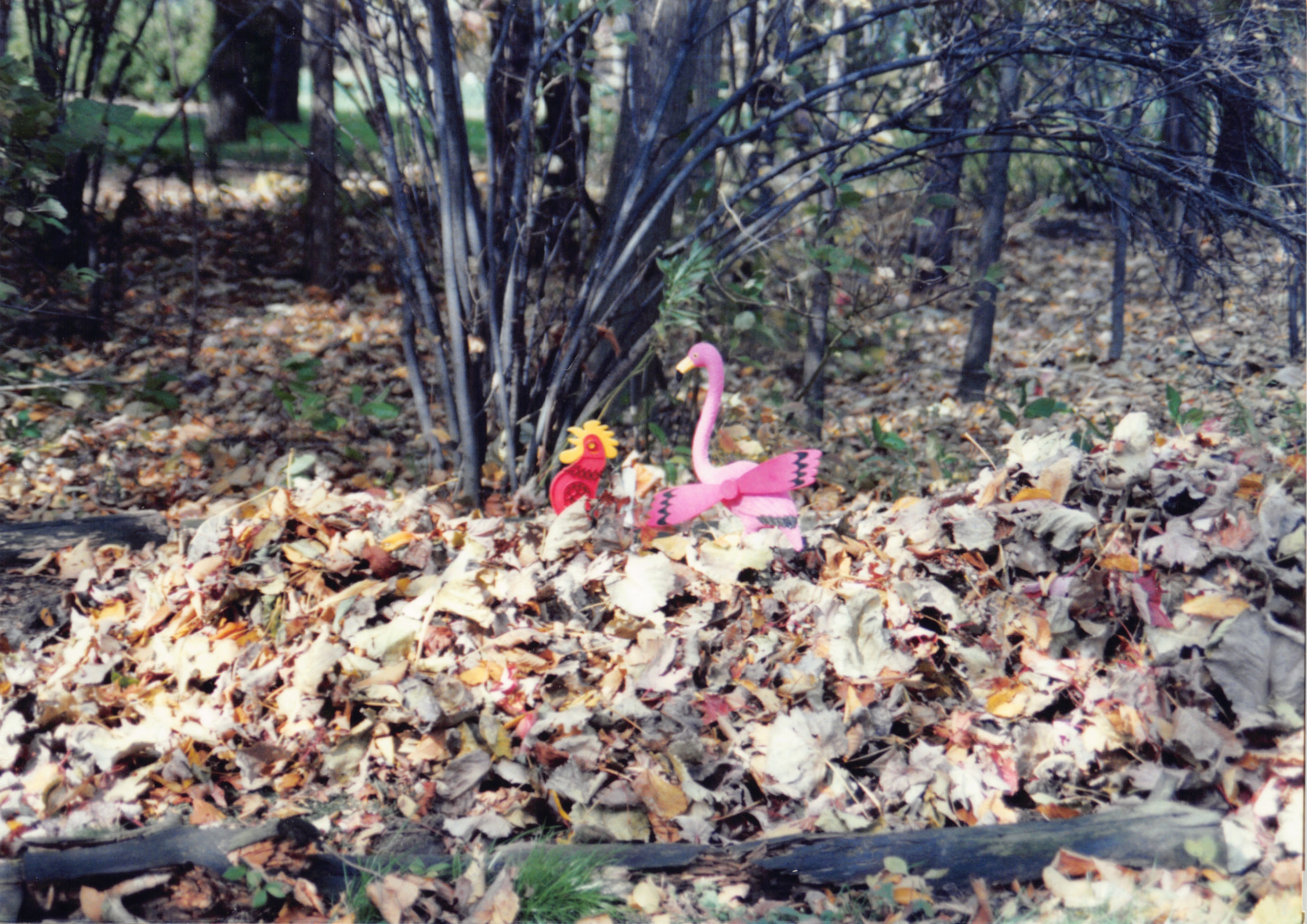 1993b_632.jpg