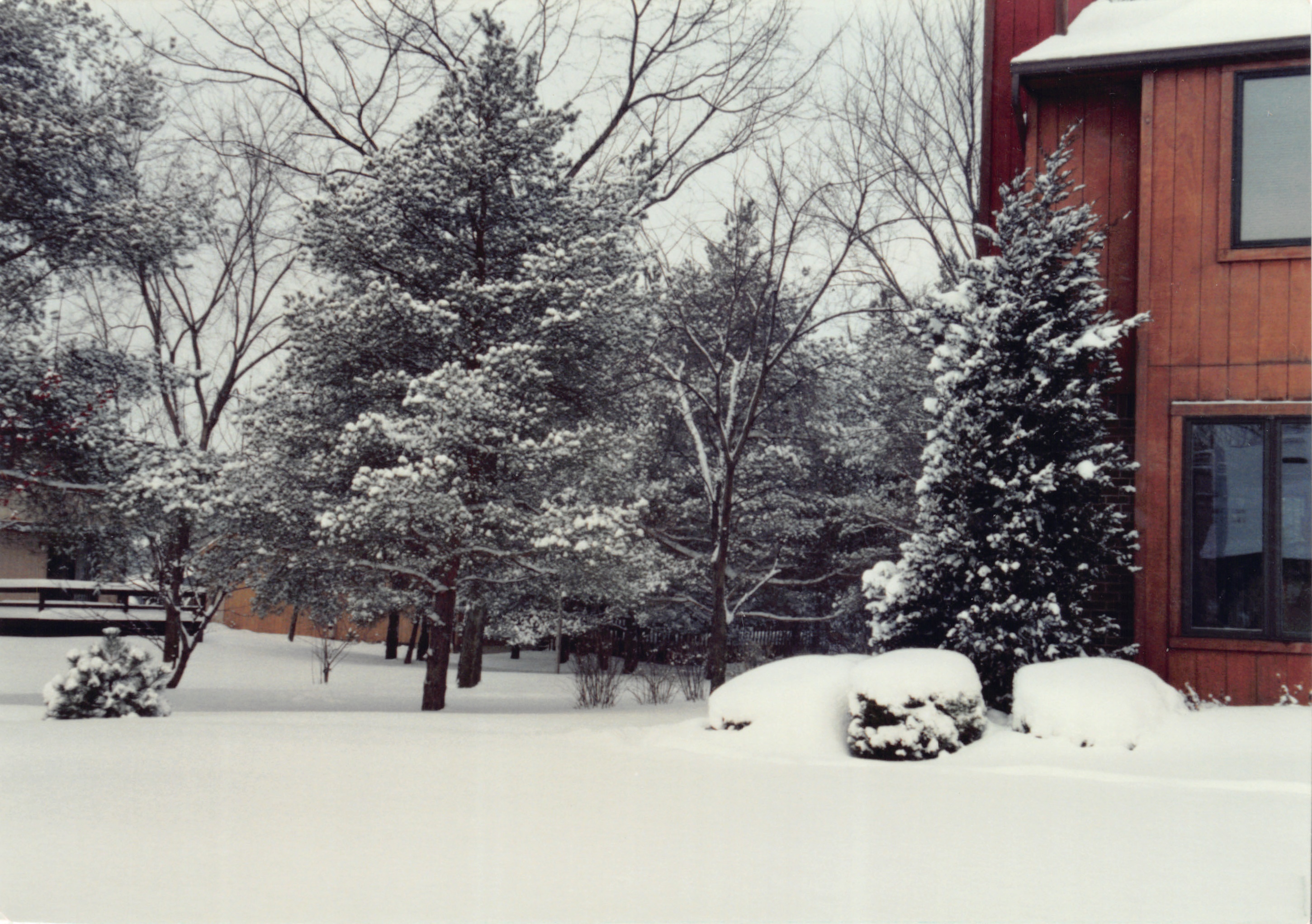 1993b_648.jpg