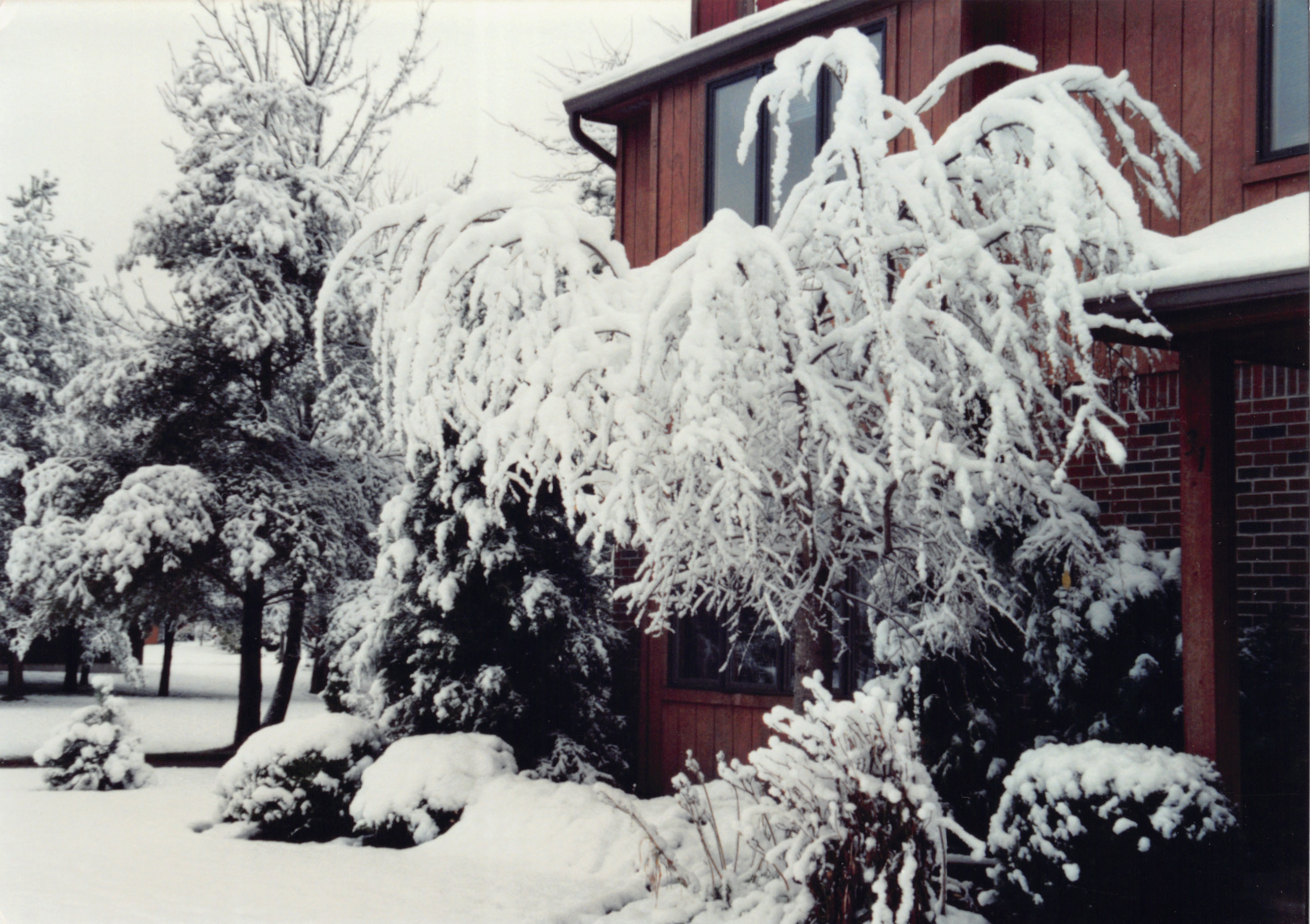 1993b_658.jpg