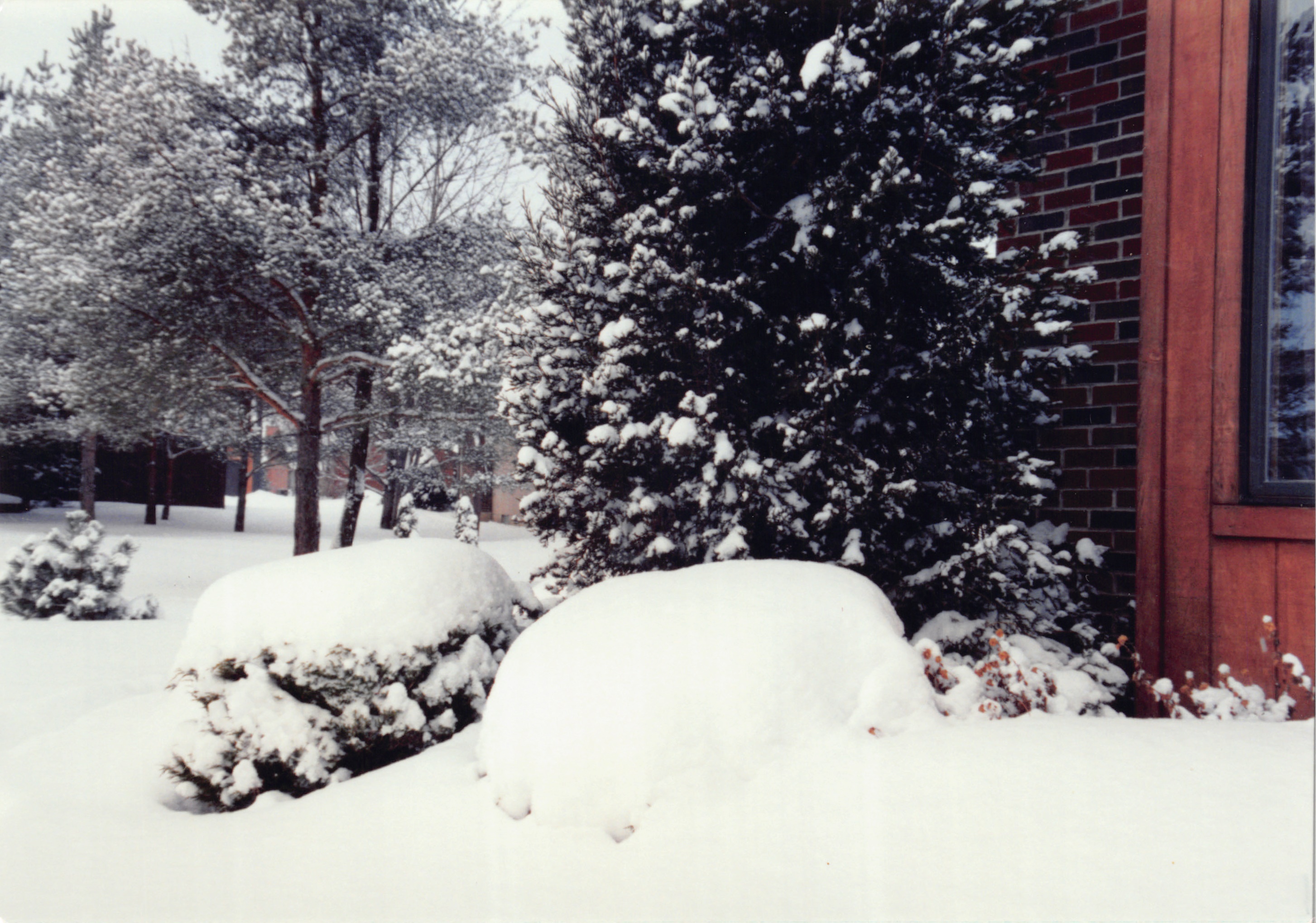 1993b_660.jpg