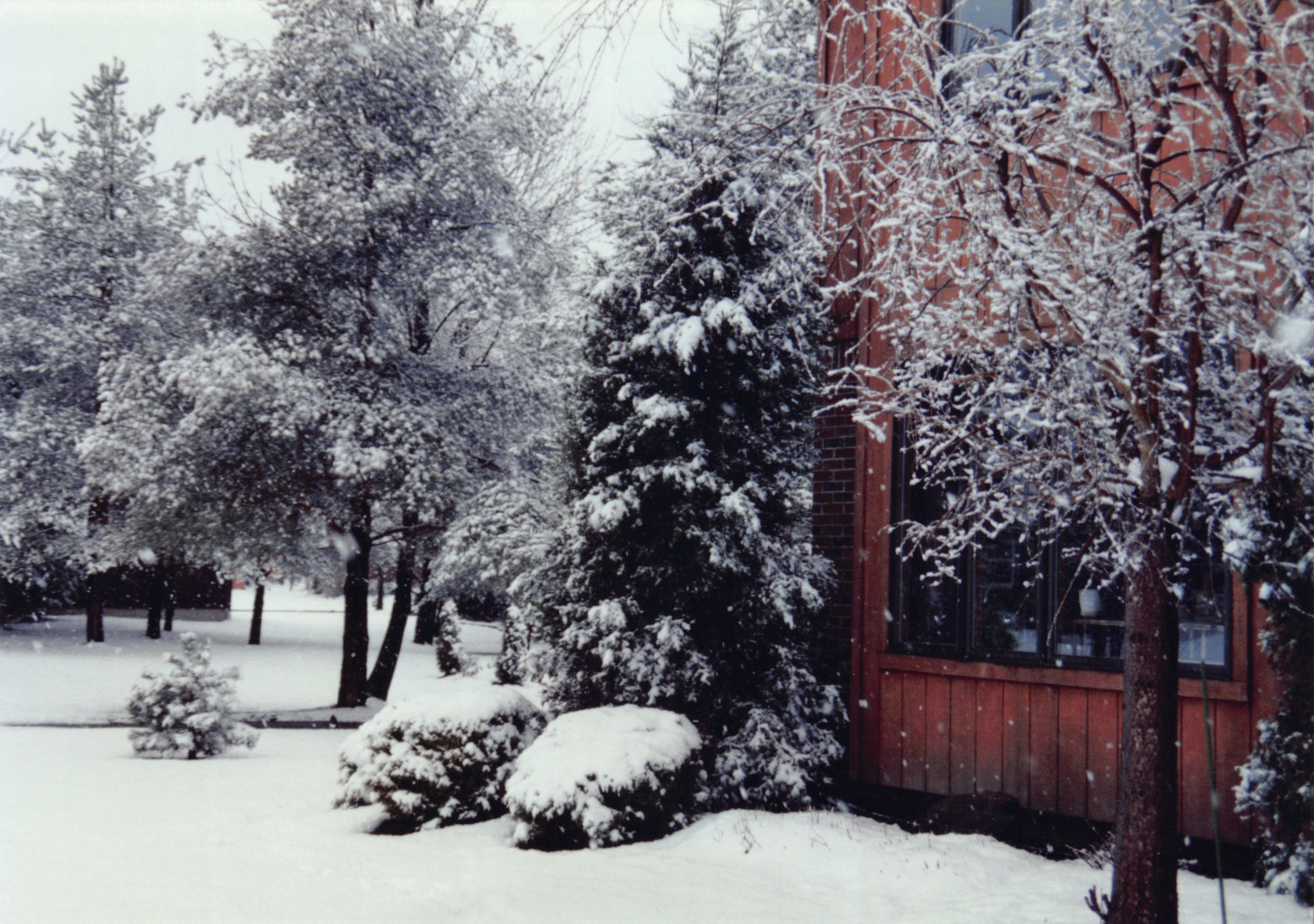 1993b_662.jpg