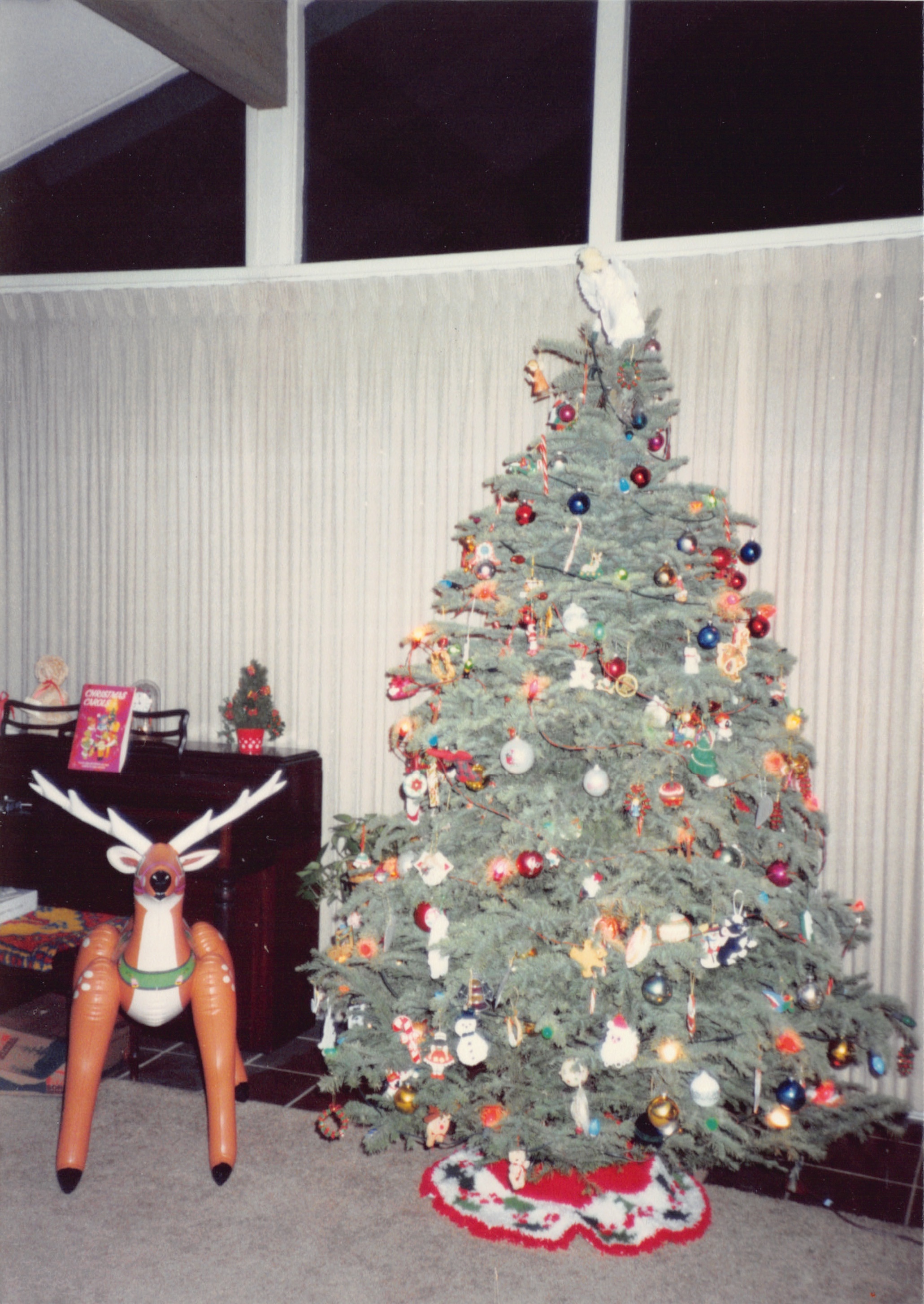 1993c_465.jpg
