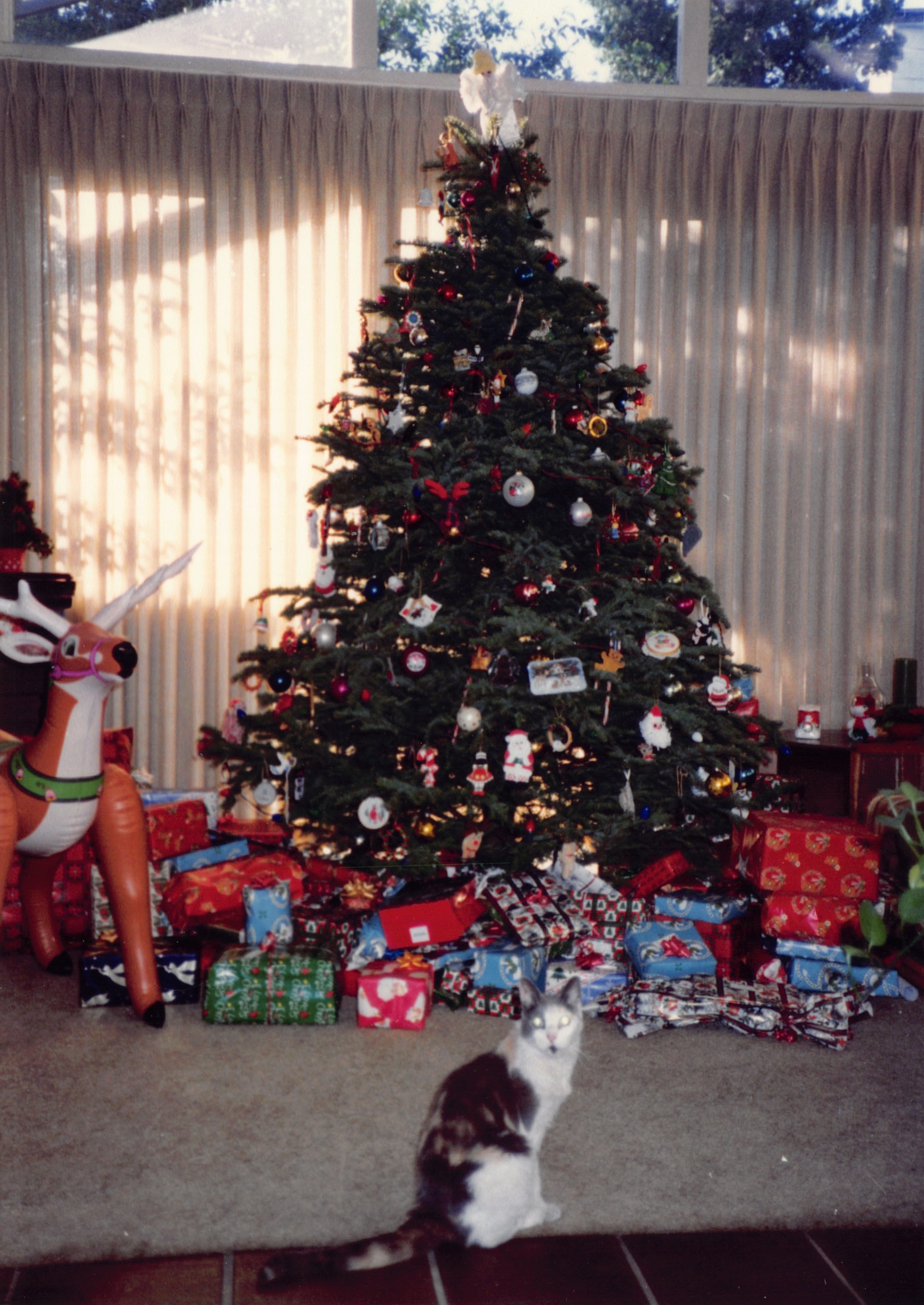 1993c_467.jpg