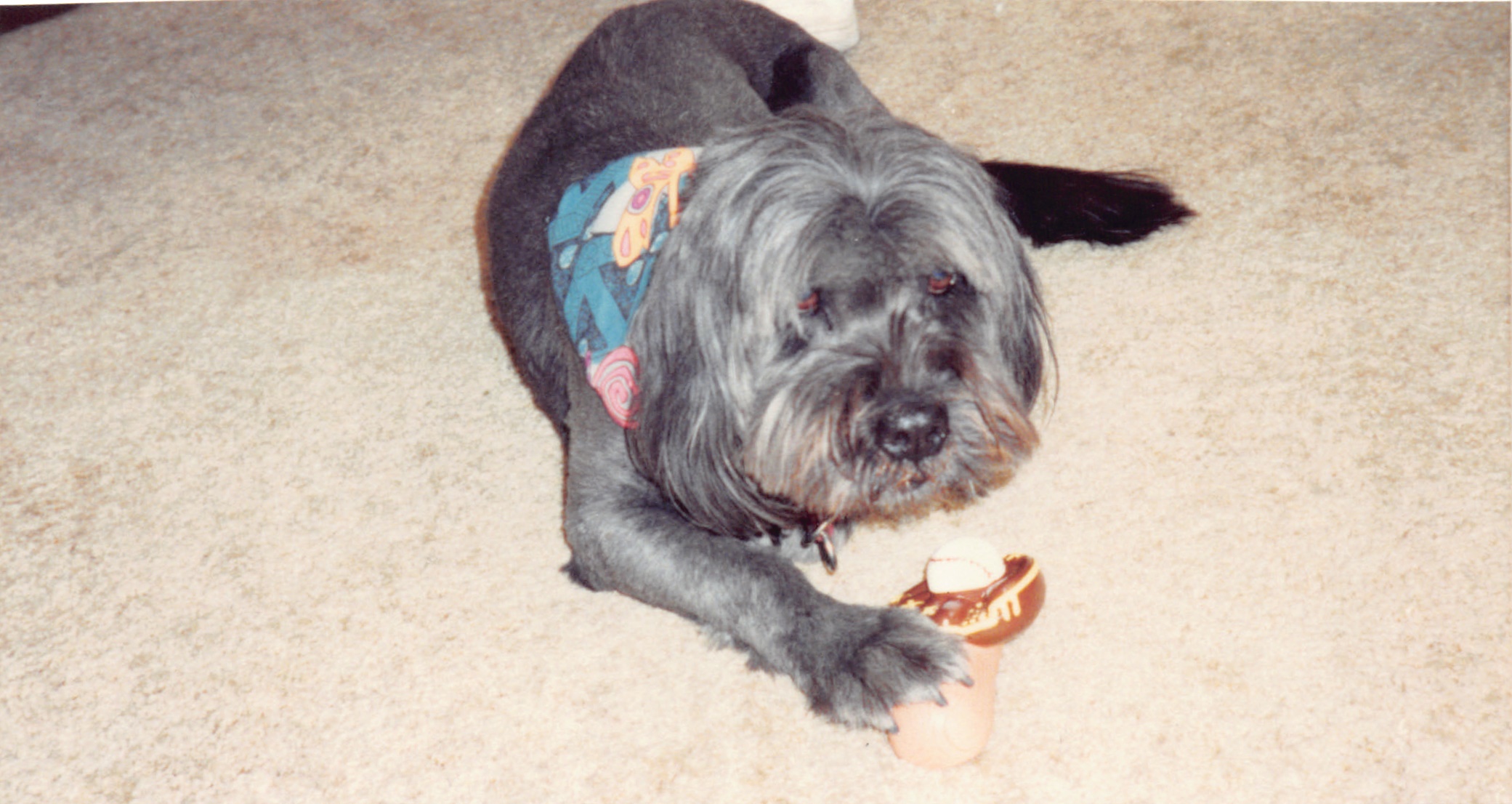 1993c_475.jpg