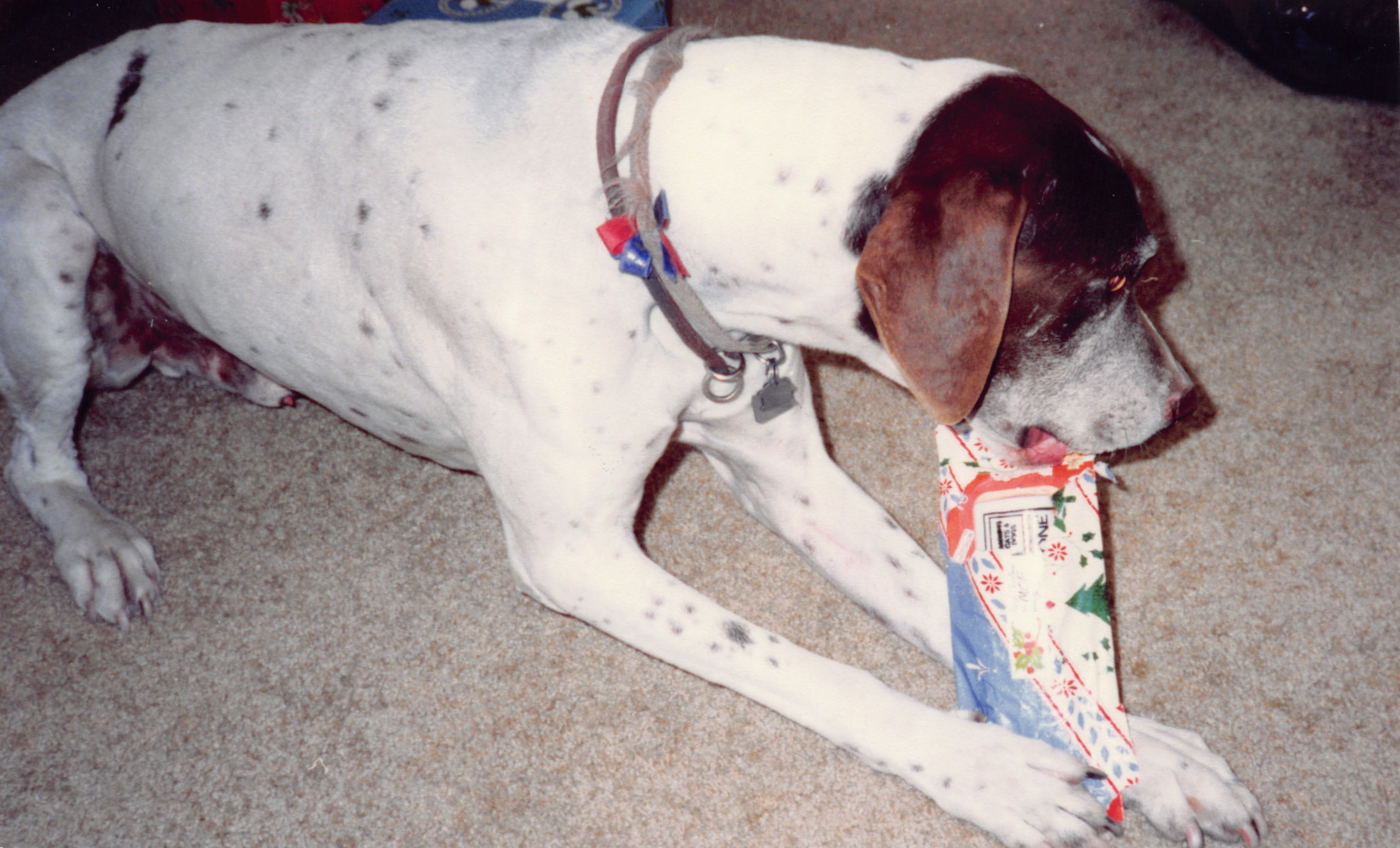 1993c_477.jpg