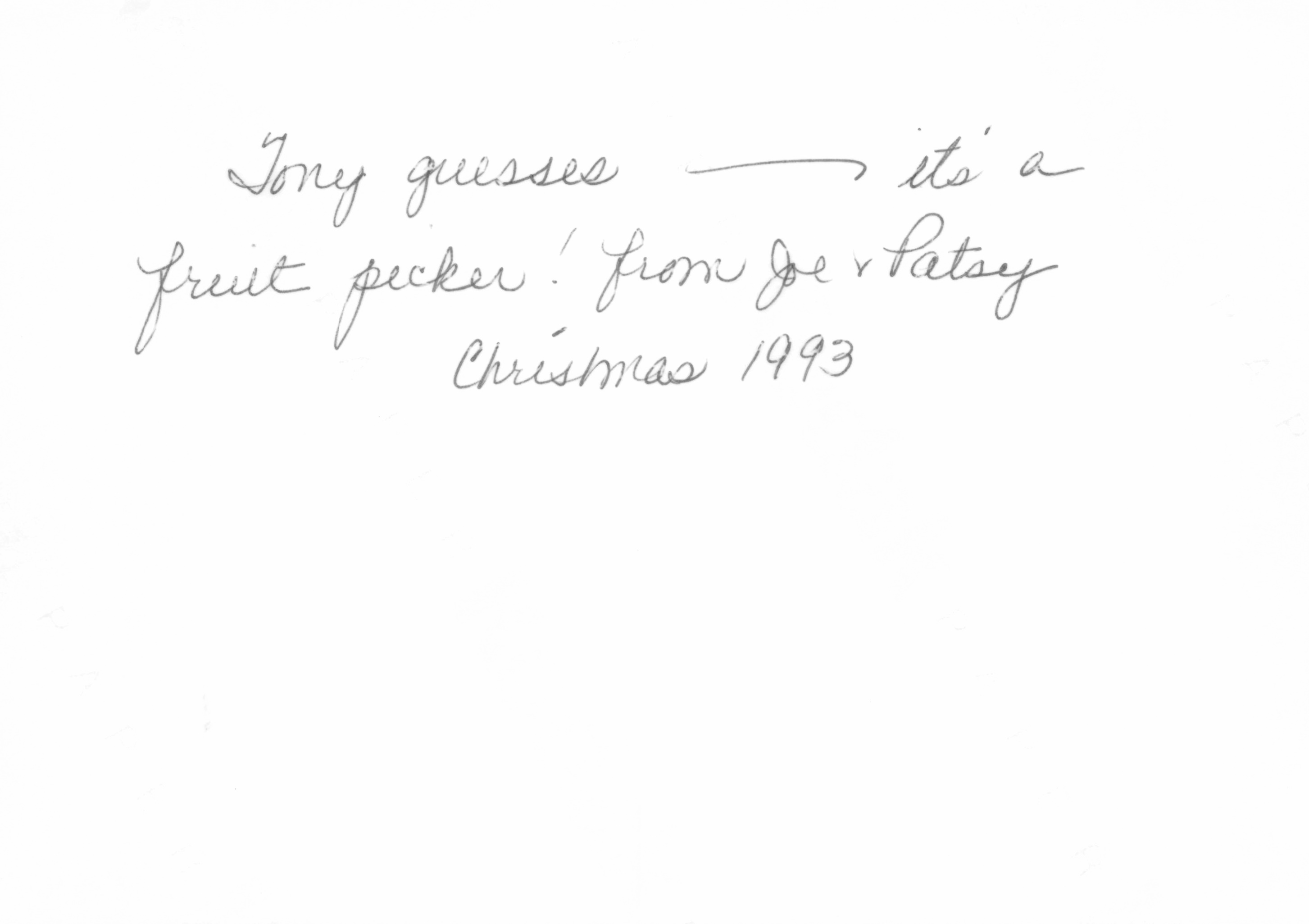 1993c_480.jpg
