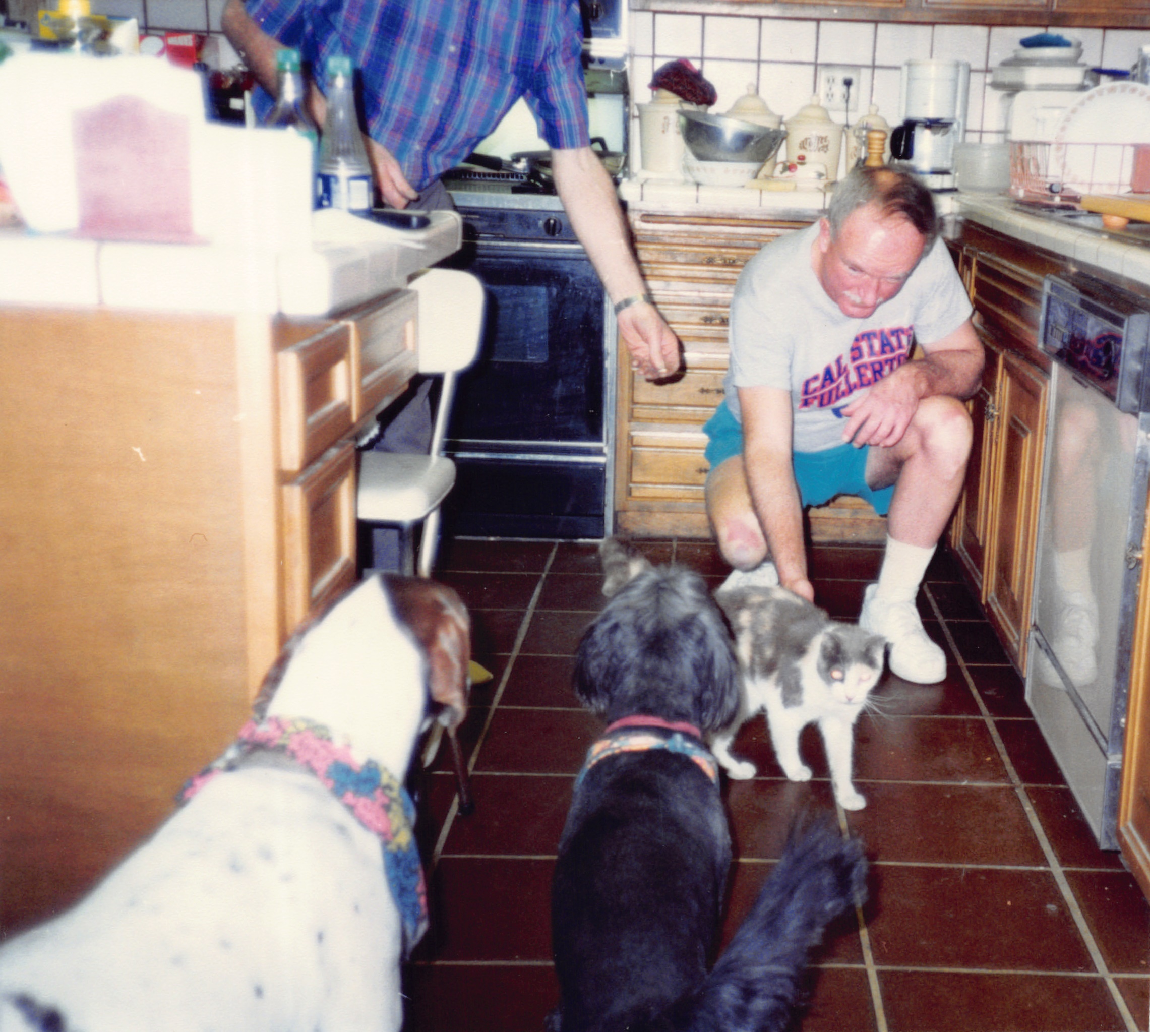 1993c_489.jpg
