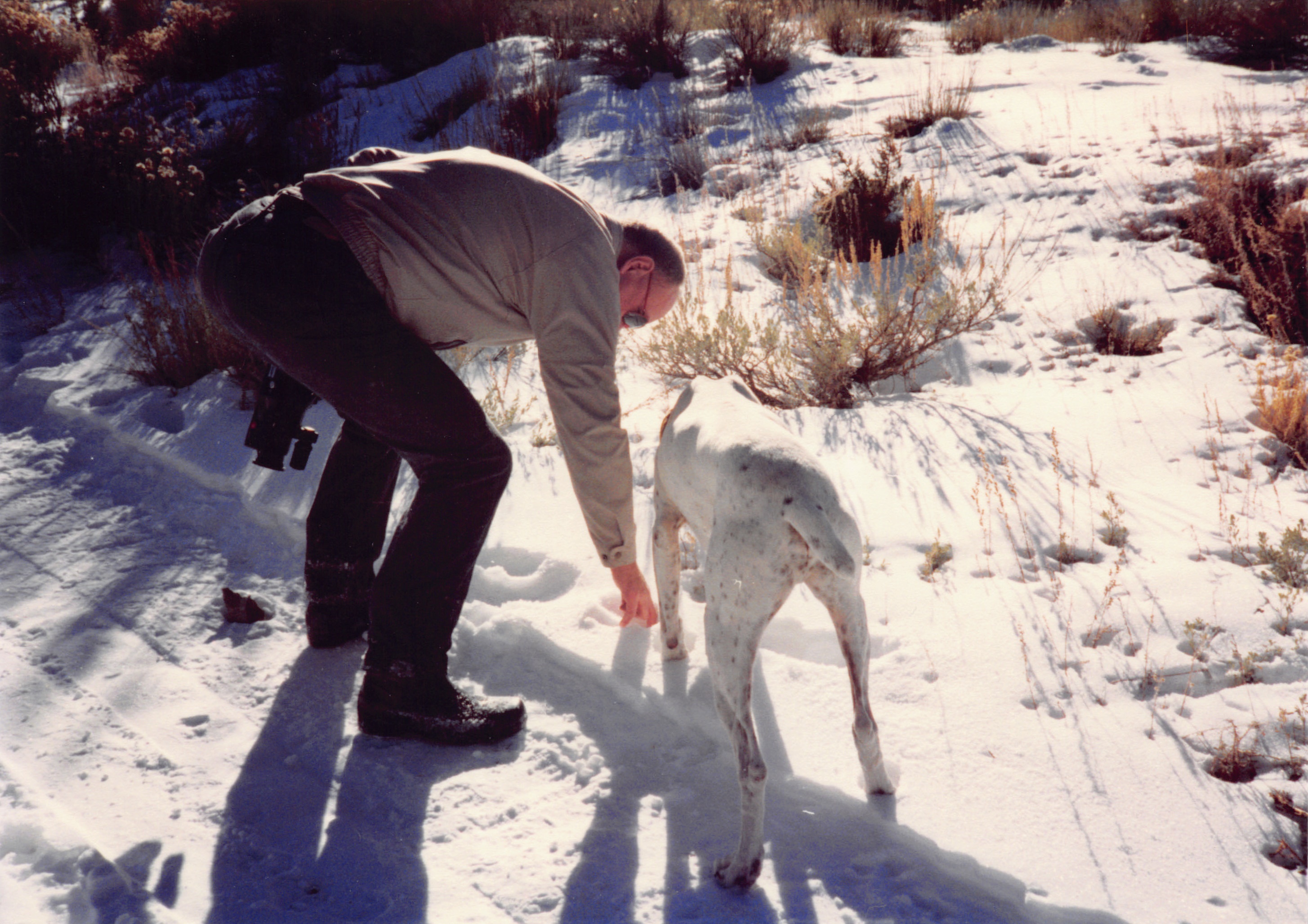 1993c_493.jpg