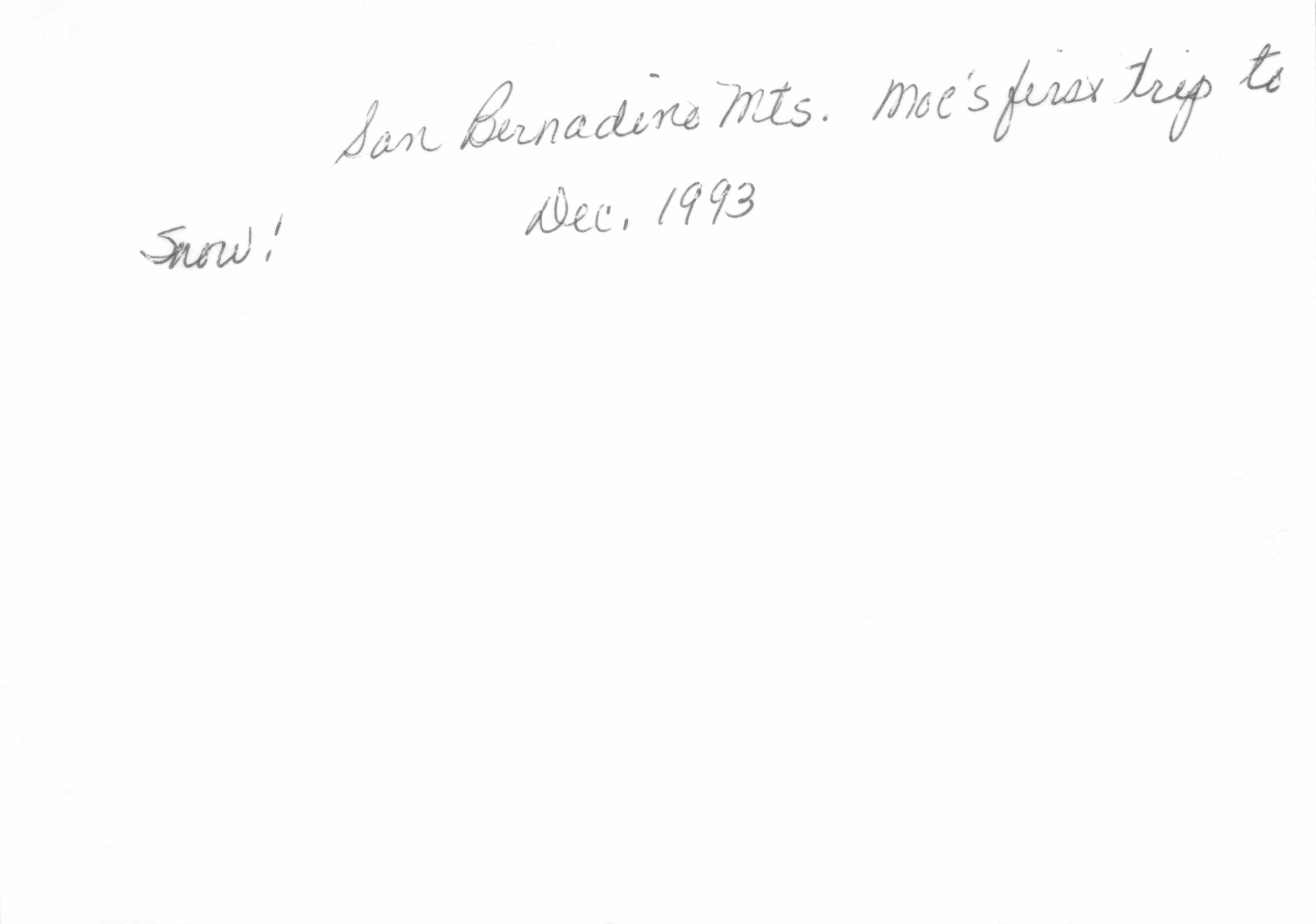 1993c_496.jpg