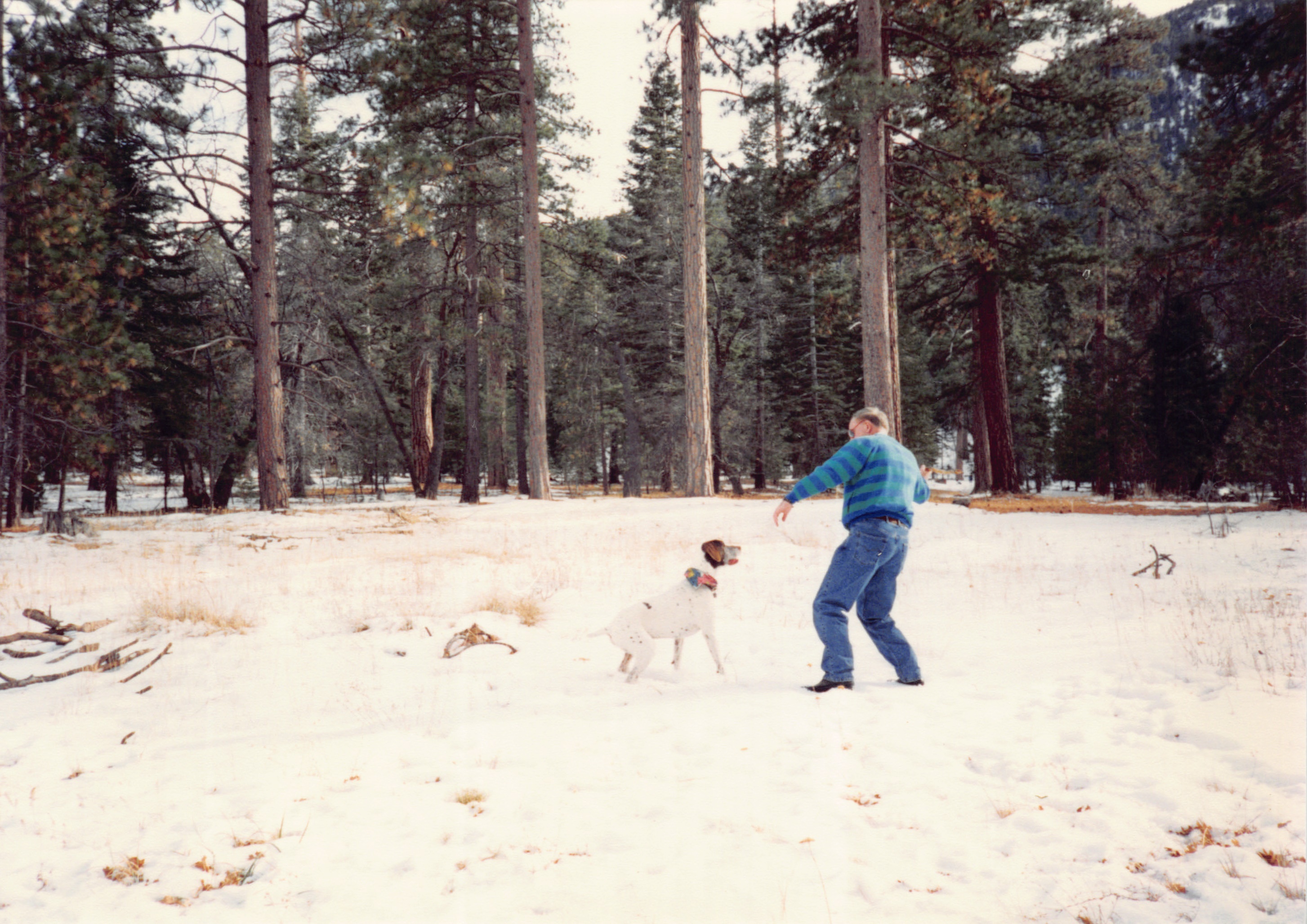 1993c_499.jpg