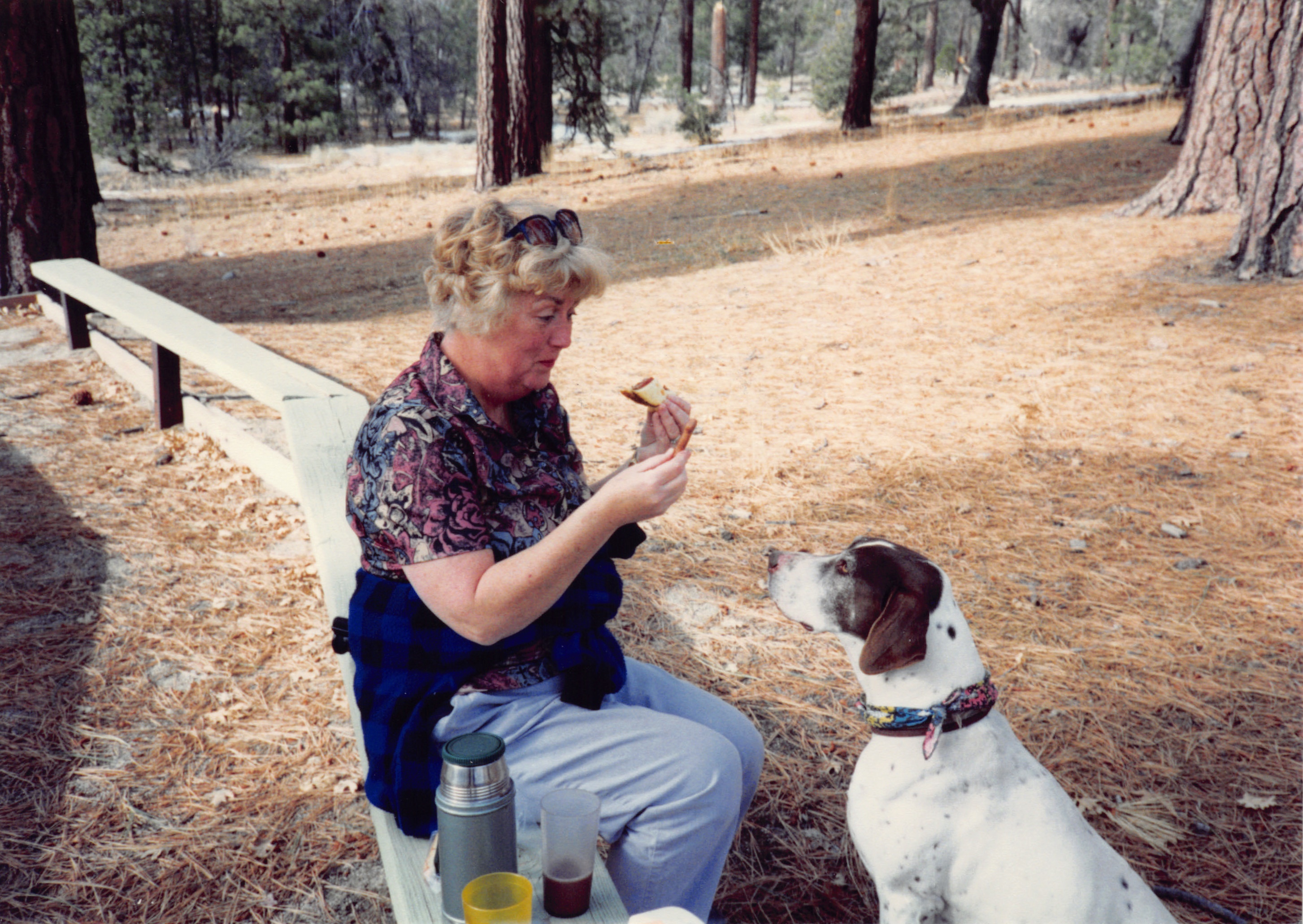 1993c_501.jpg