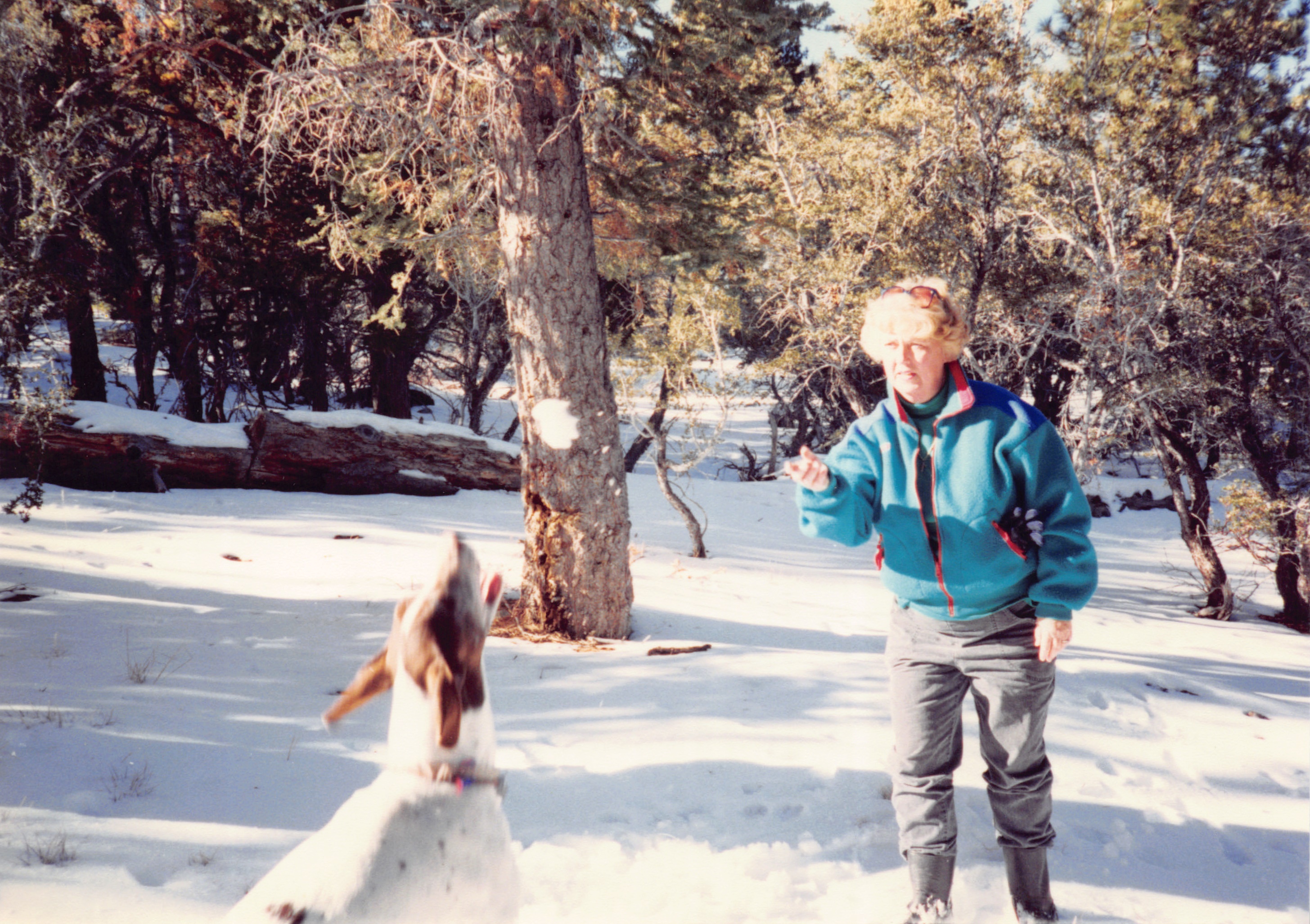 1993c_503.jpg