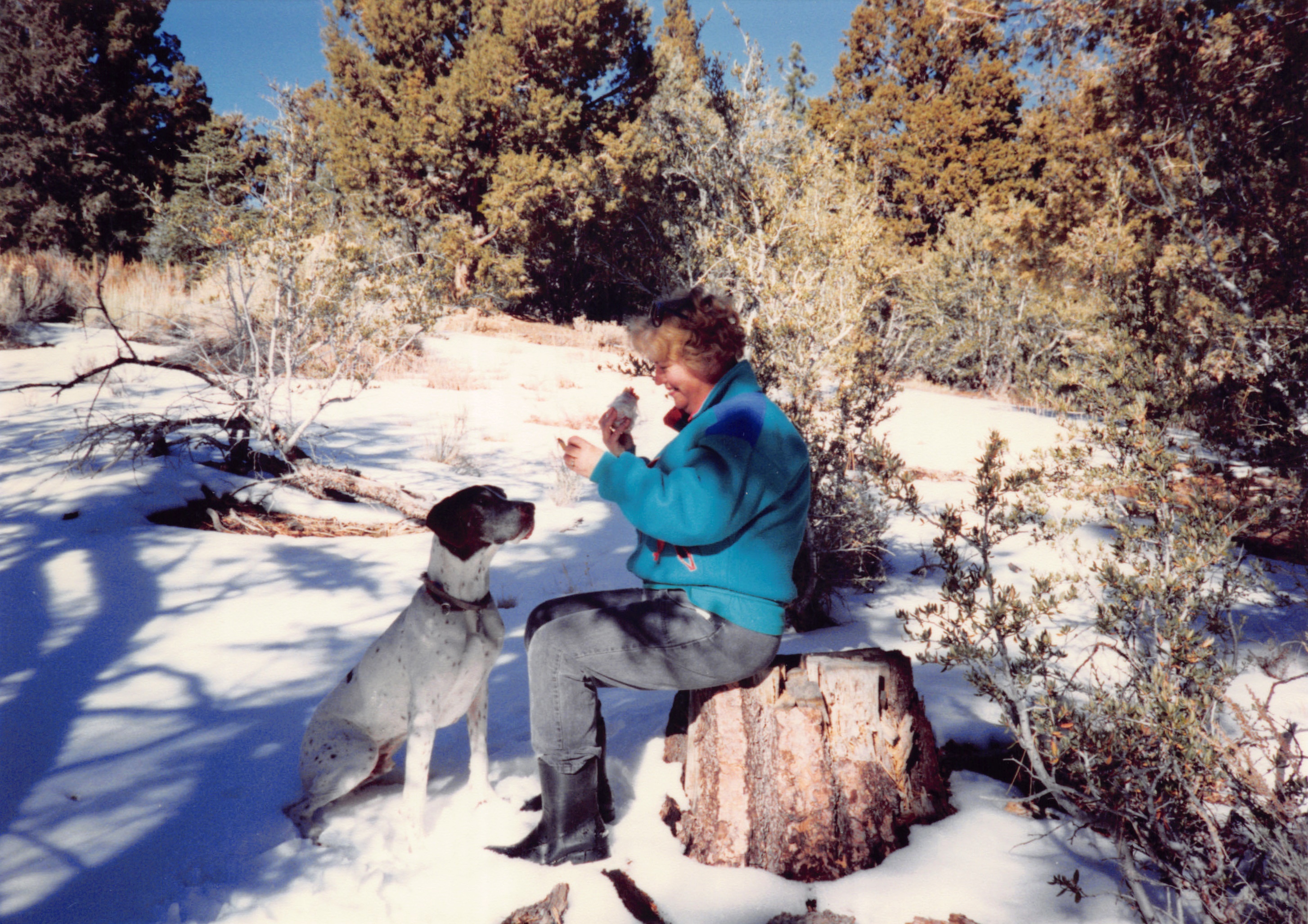 1993c_509.jpg