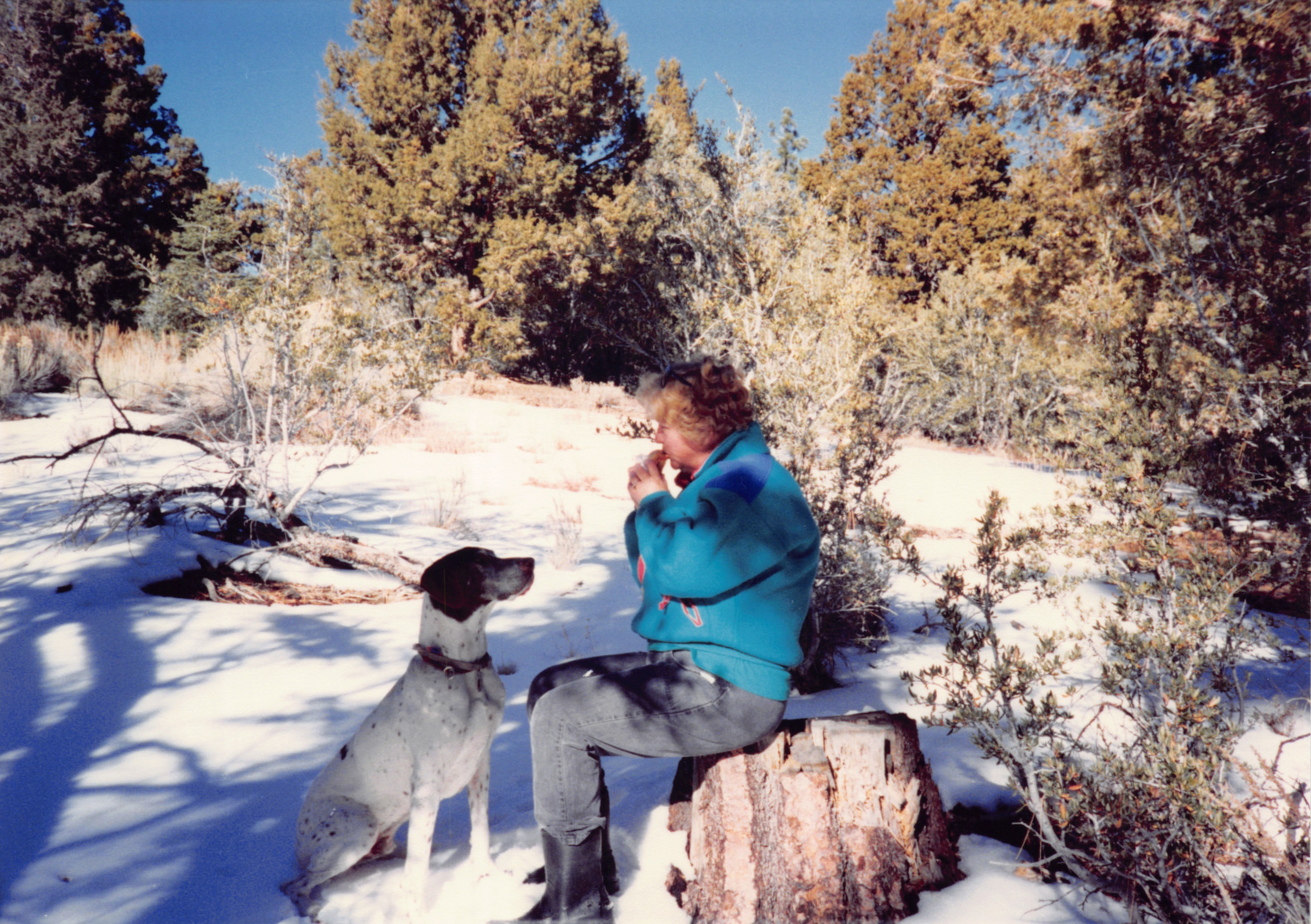 1993c_511.jpg