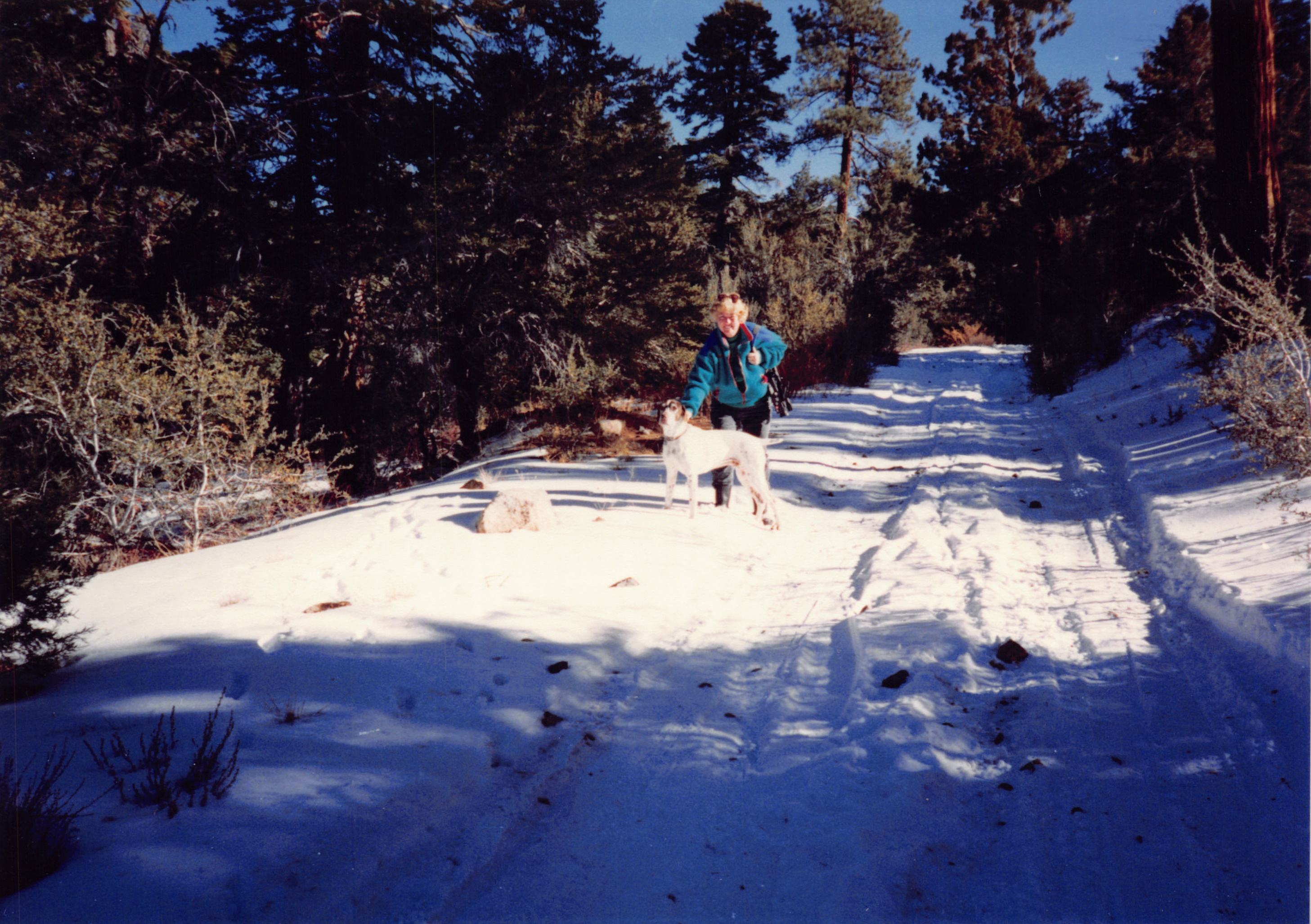 1993c_513.jpg