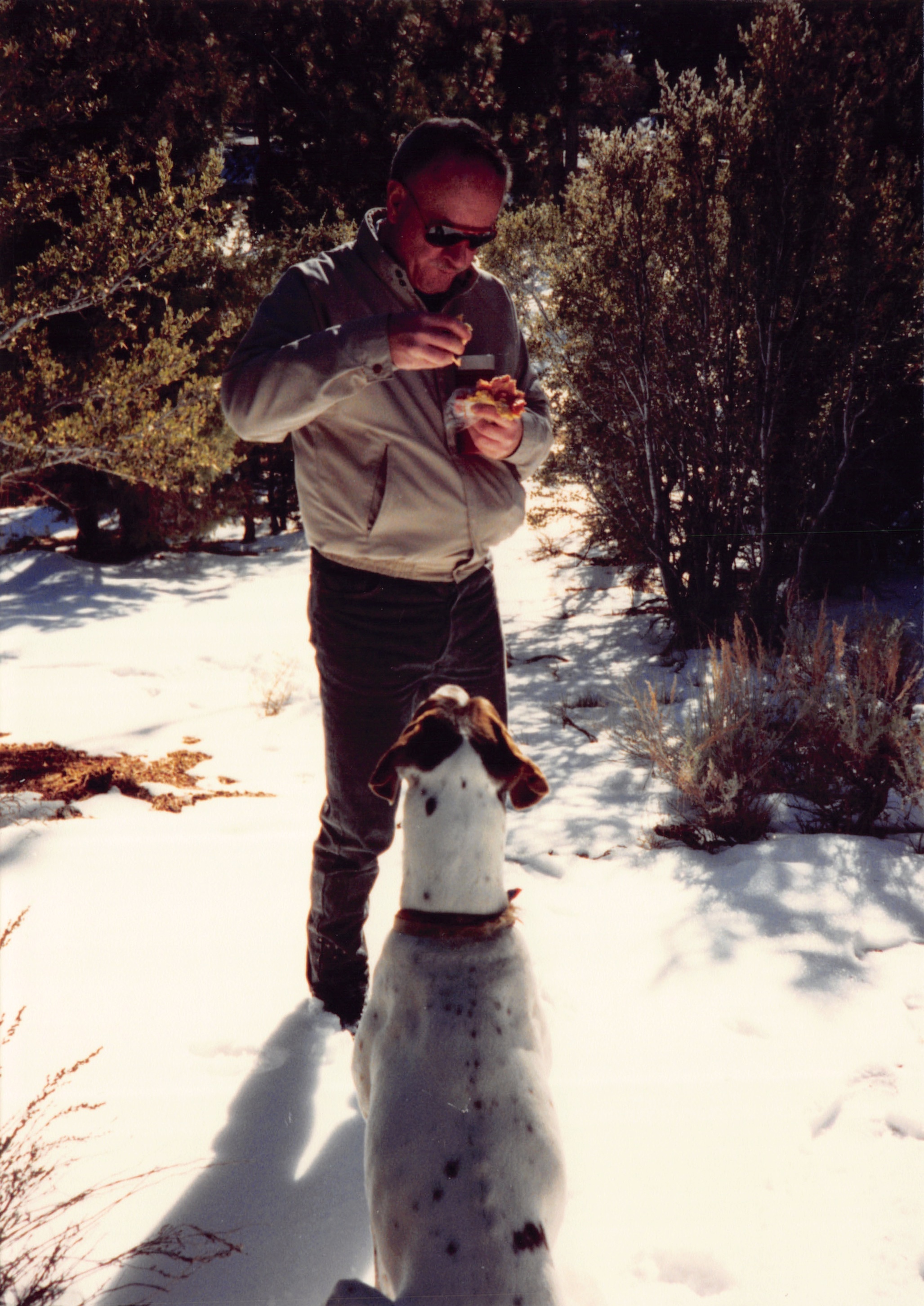 1993c_515.jpg