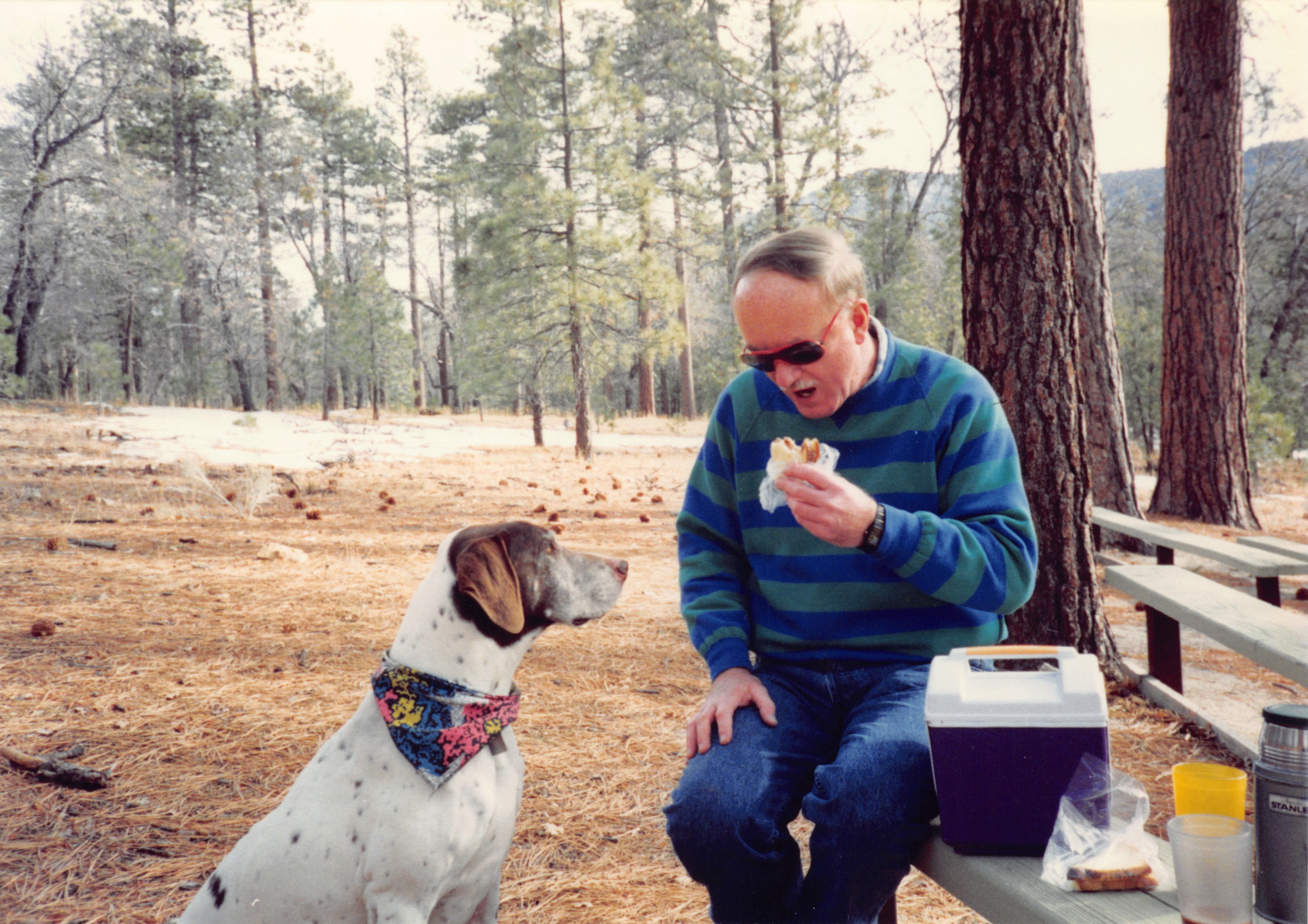 1993c_517.jpg