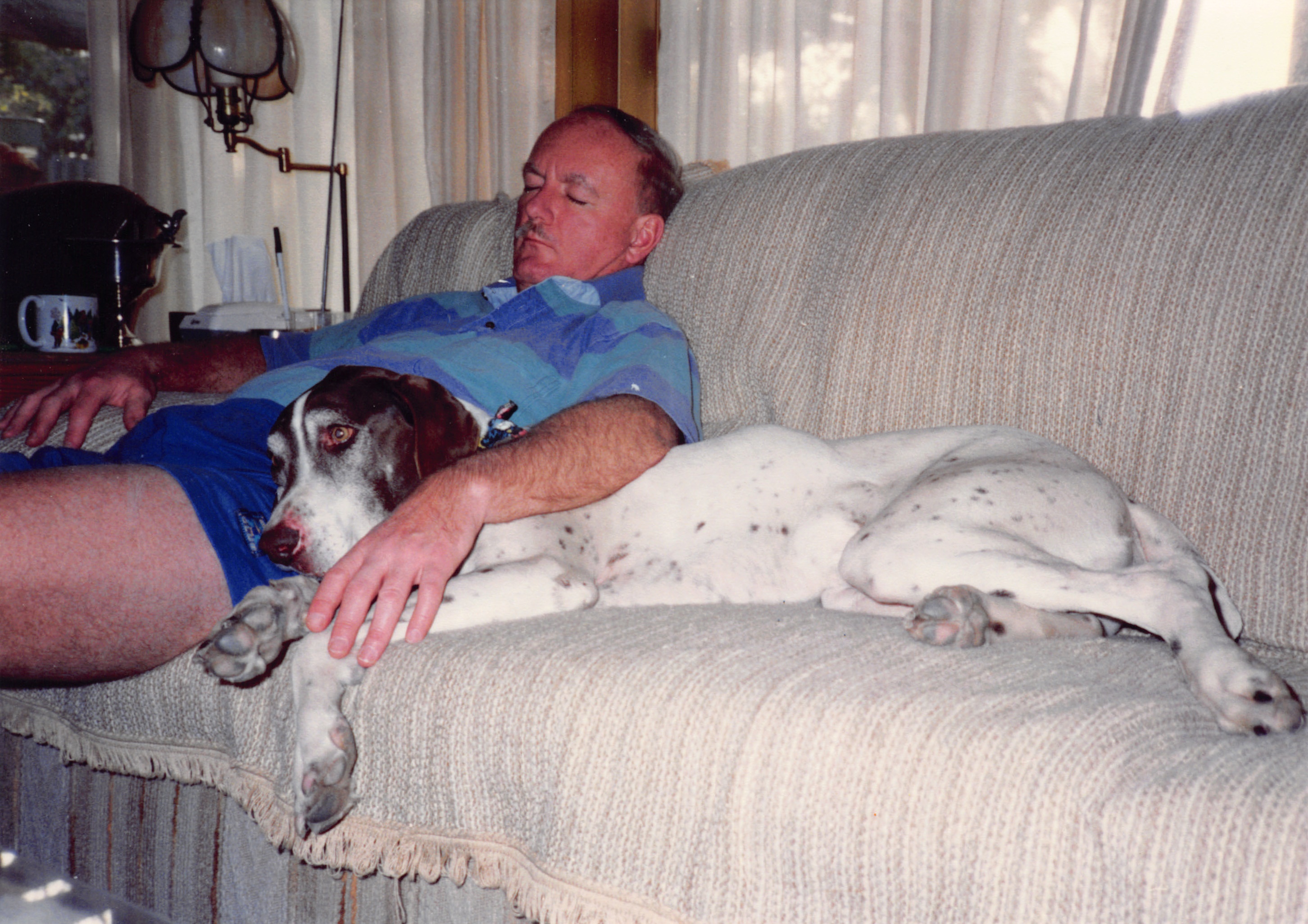 1993c_519.jpg