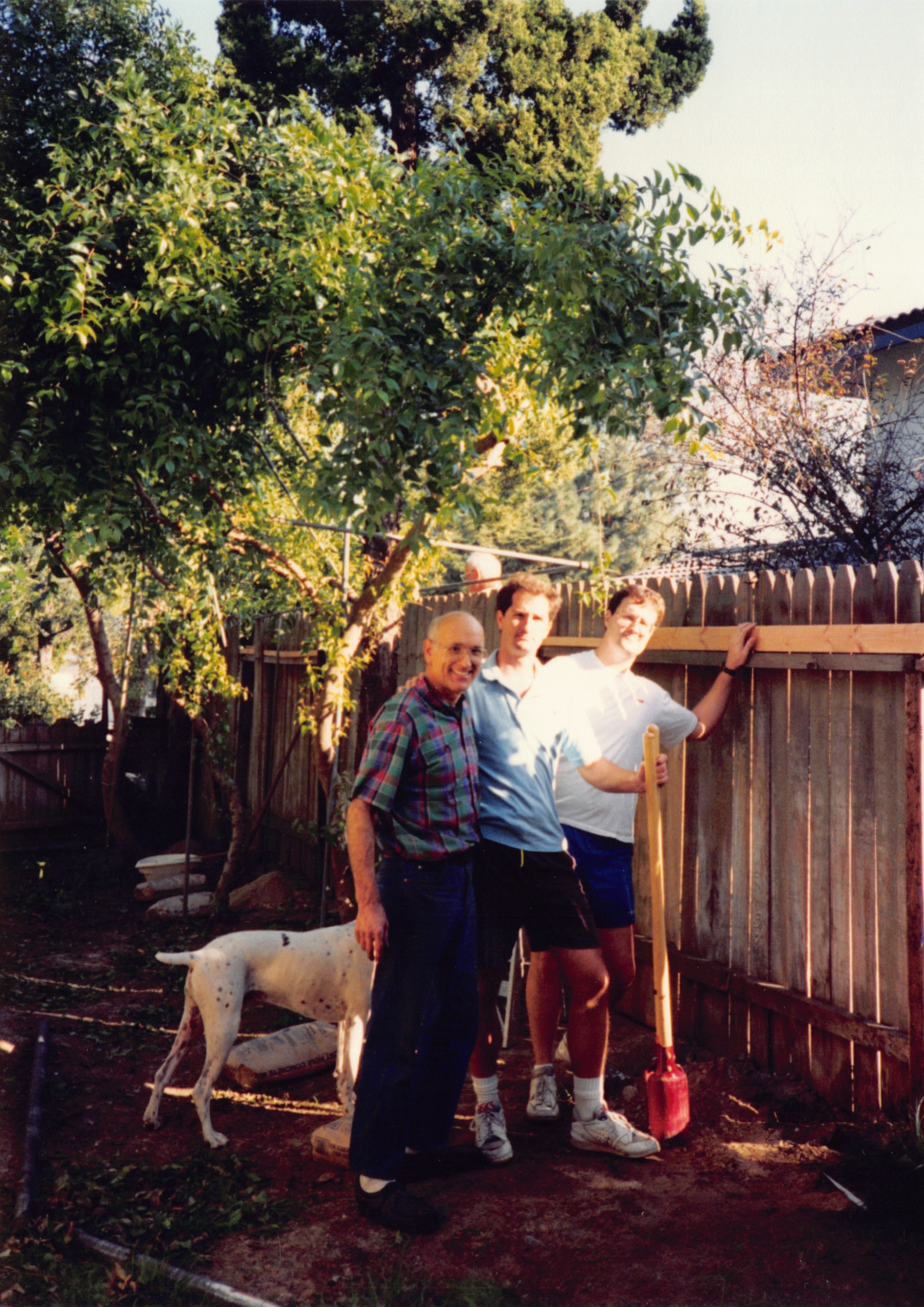 1994a_700.jpg