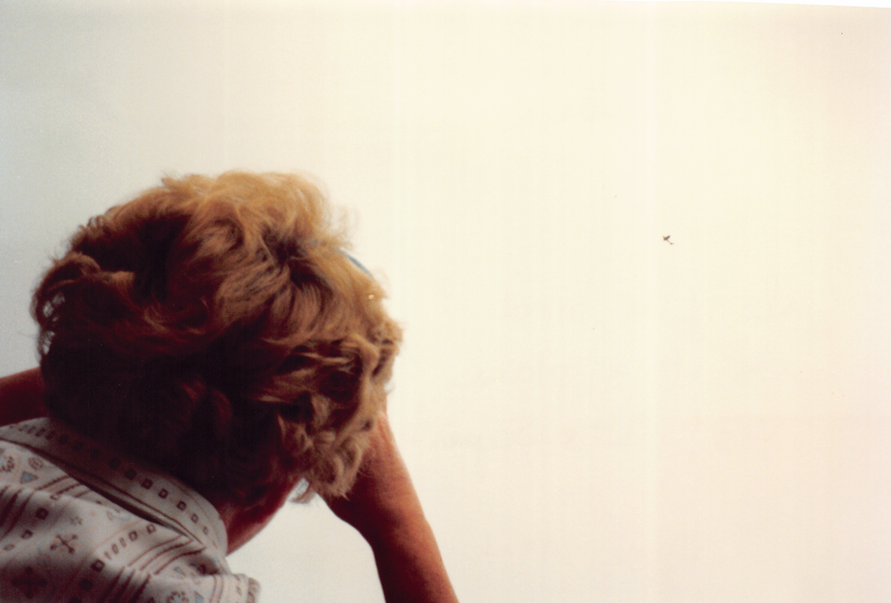 1994a_746.jpg
