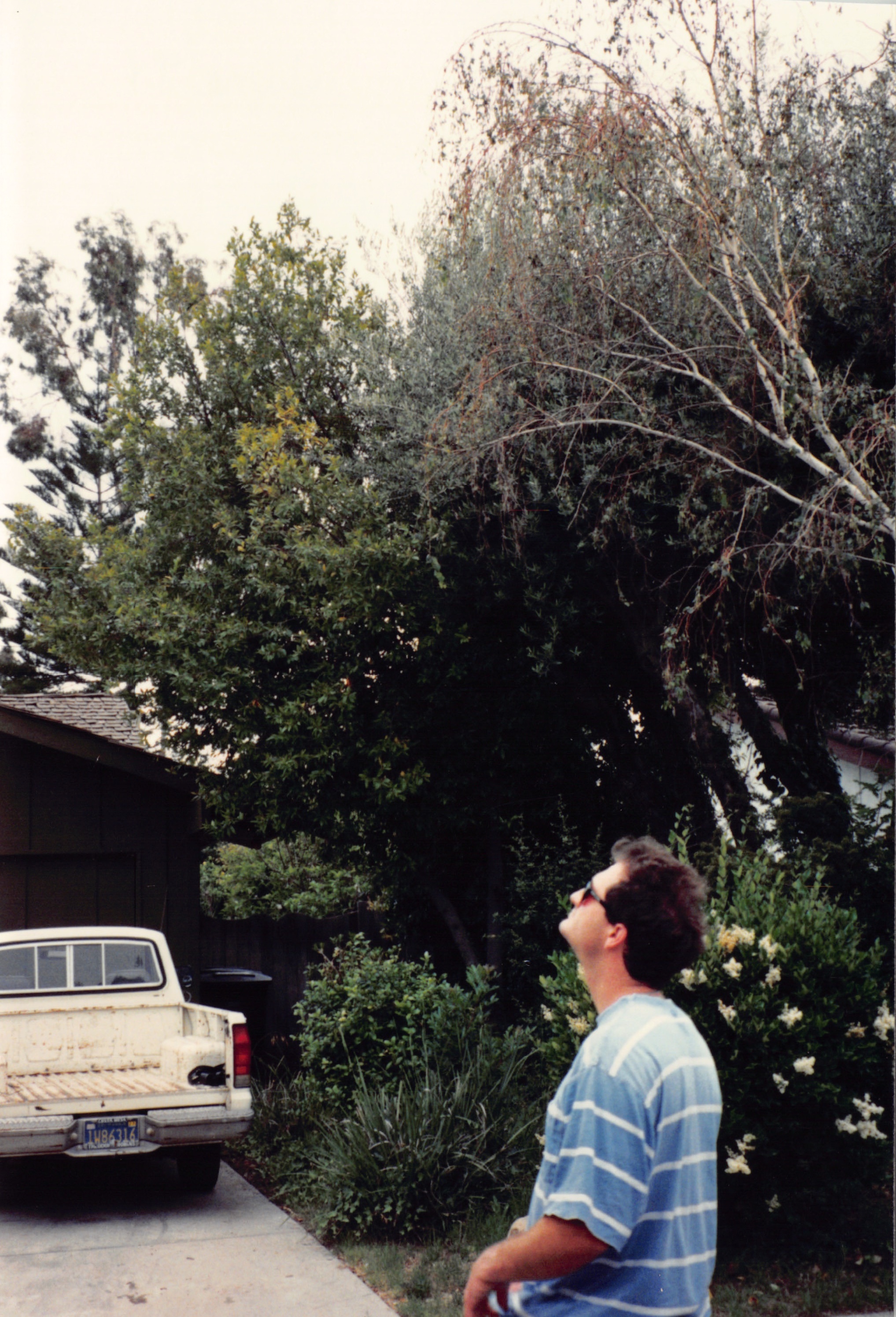 1994a_748.jpg