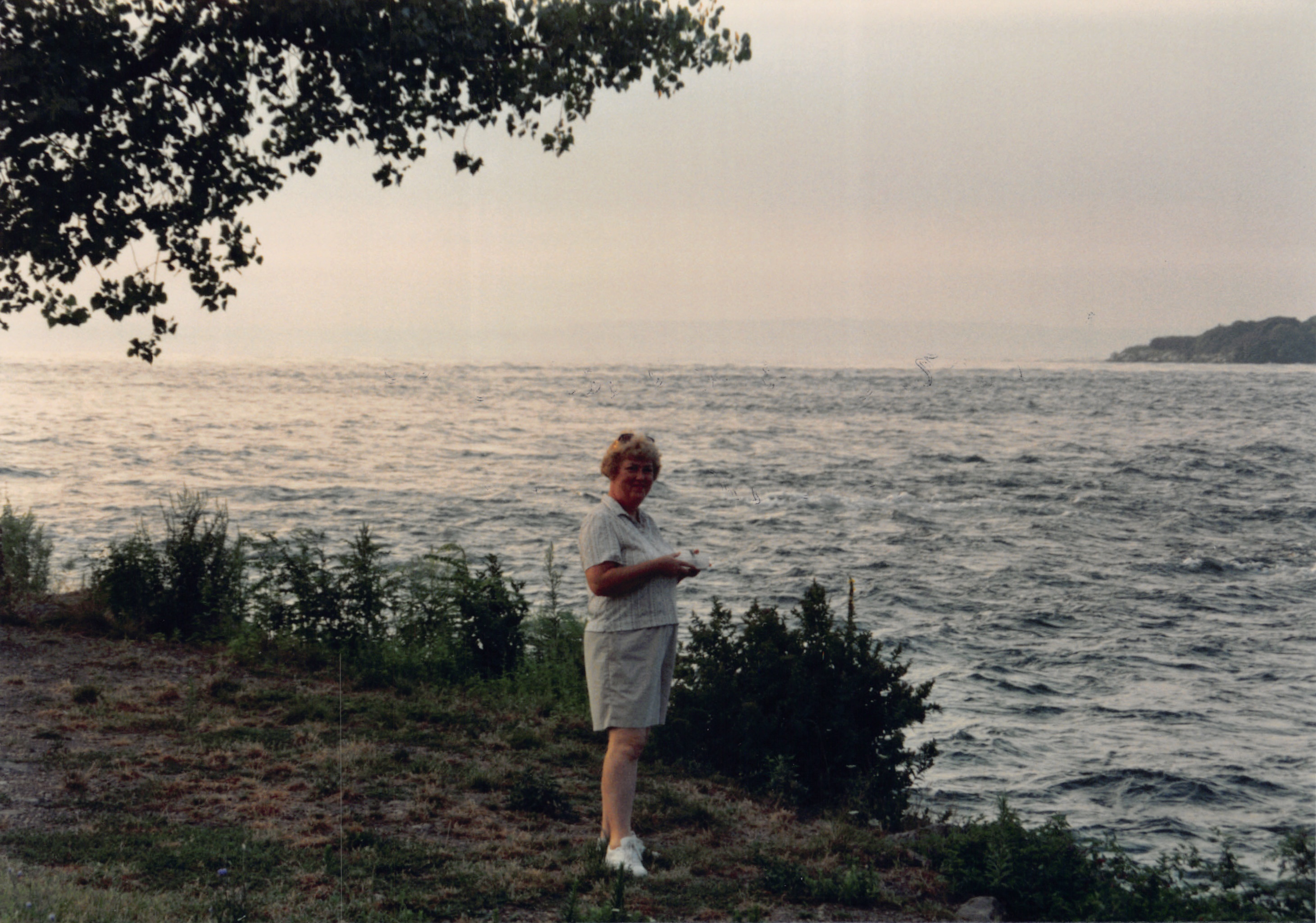 1994b_024.jpg
